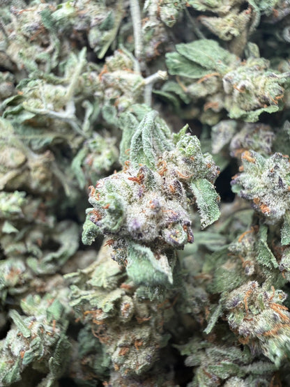 1 Pound - White Widow THCA Strain (Small) Frisco Labs