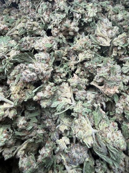 1 Pound - White Widow THCA Strain (Small) Frisco Labs