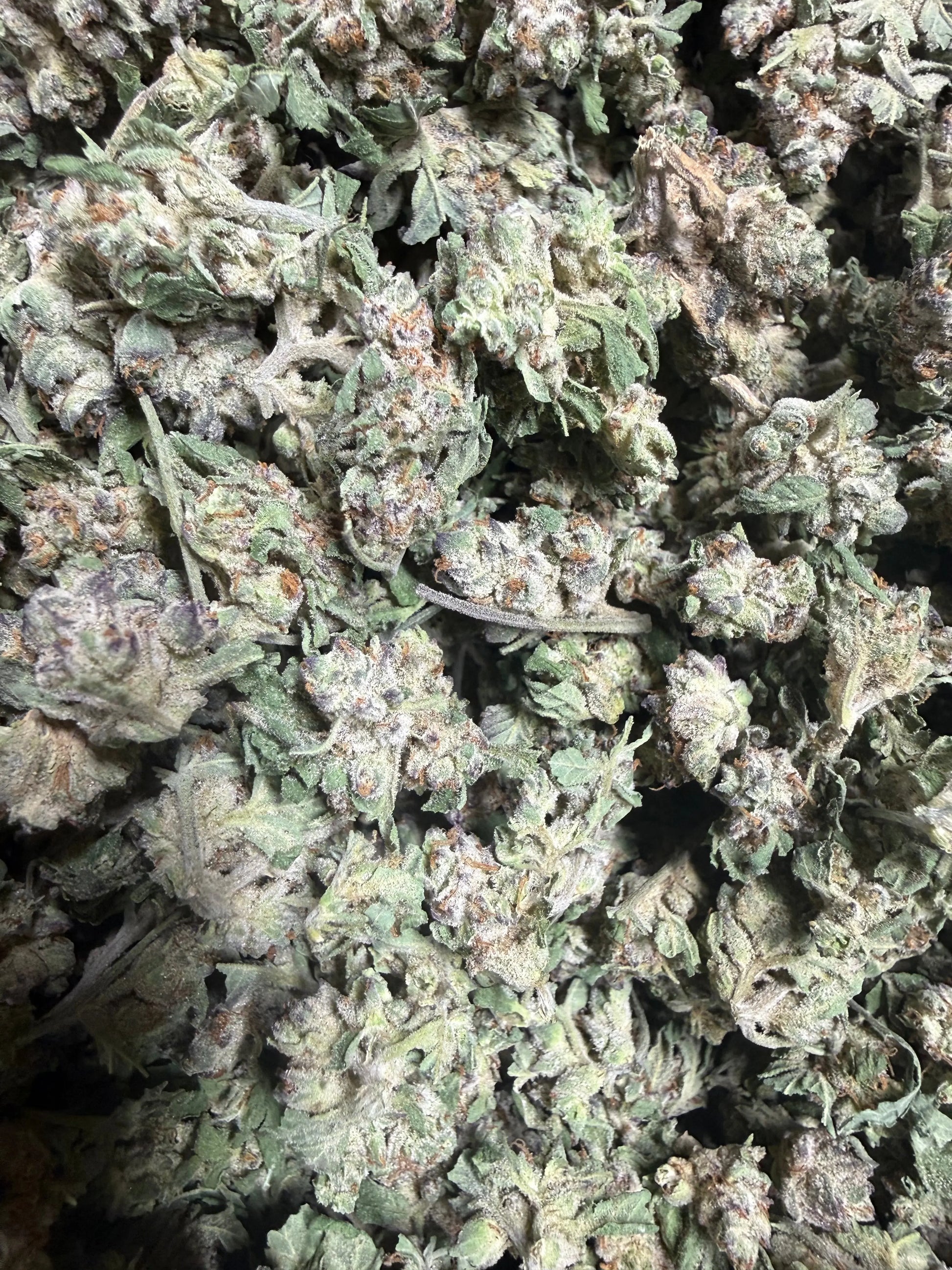 1 Pound - White Widow THCA Strain (Small) Frisco Labs