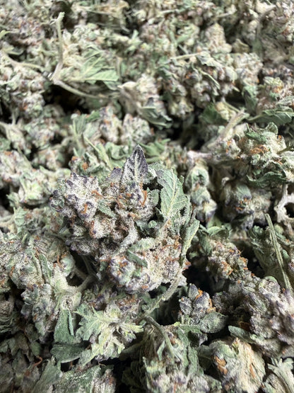 1 Pound - White Widow THCA Strain (Small) Frisco Labs