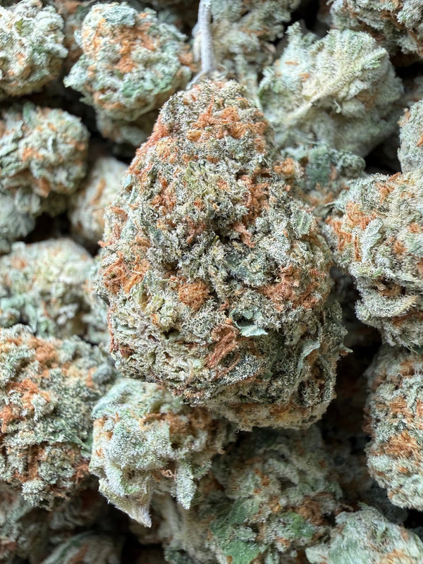 1 Pound - Why U Gelly THCA Strain