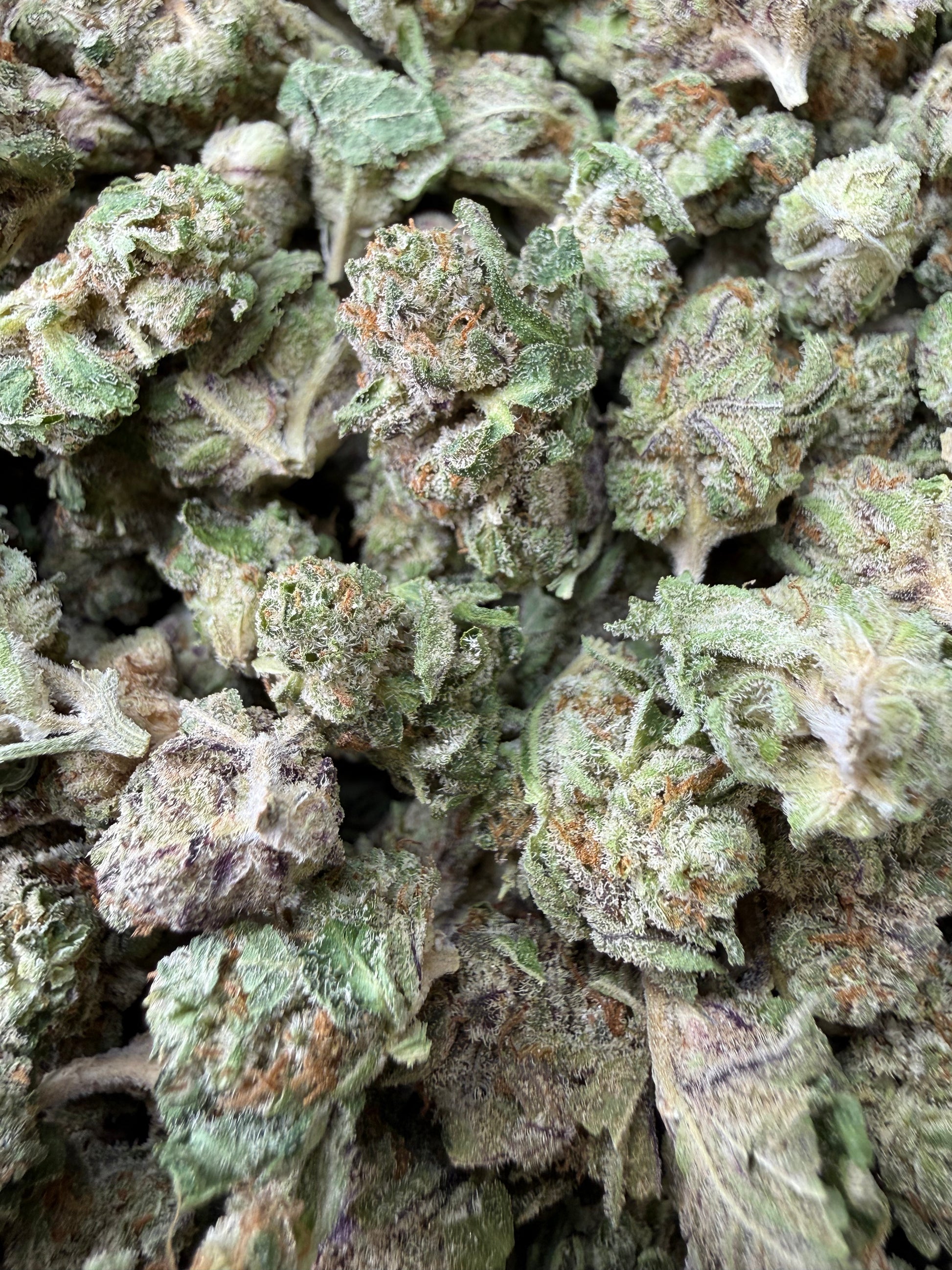 1 Pound - Why U Gelly THCA Strain (Smalls) Frisco Labs