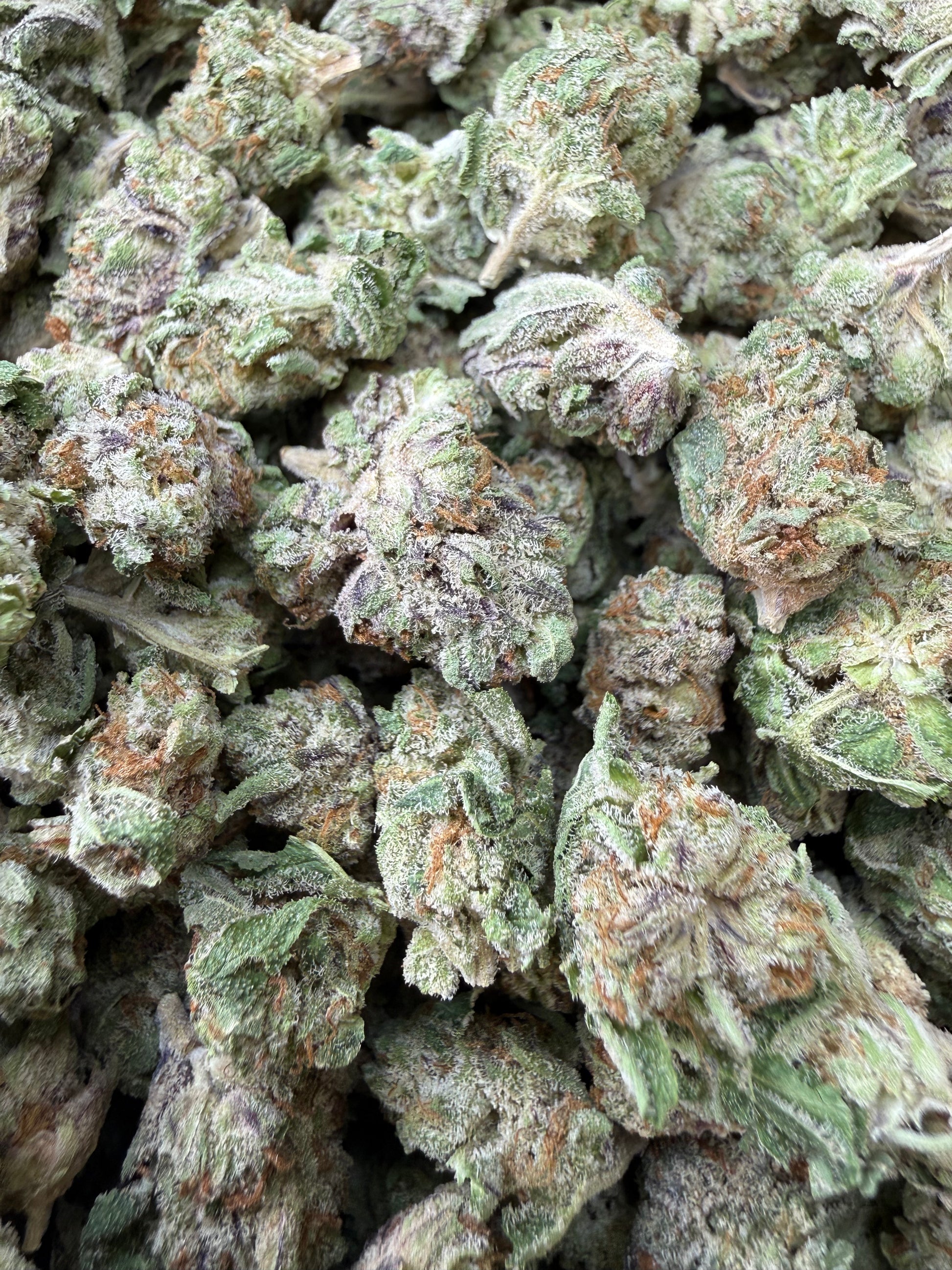 1 Pound - Why U Gelly THCA Strain (Smalls) Frisco Labs