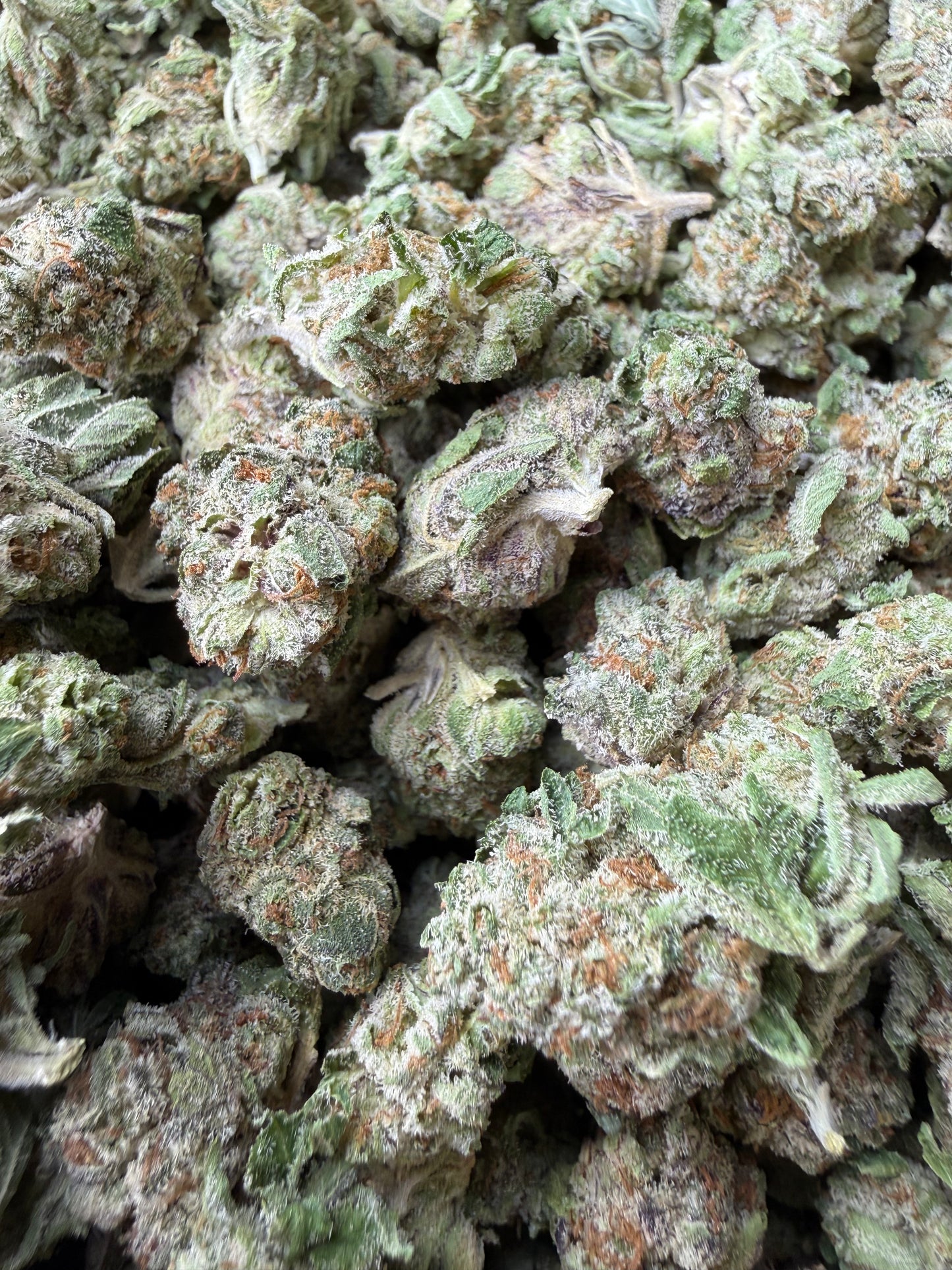 1 Pound - Why U Gelly THCA Strain (Smalls) Frisco Labs