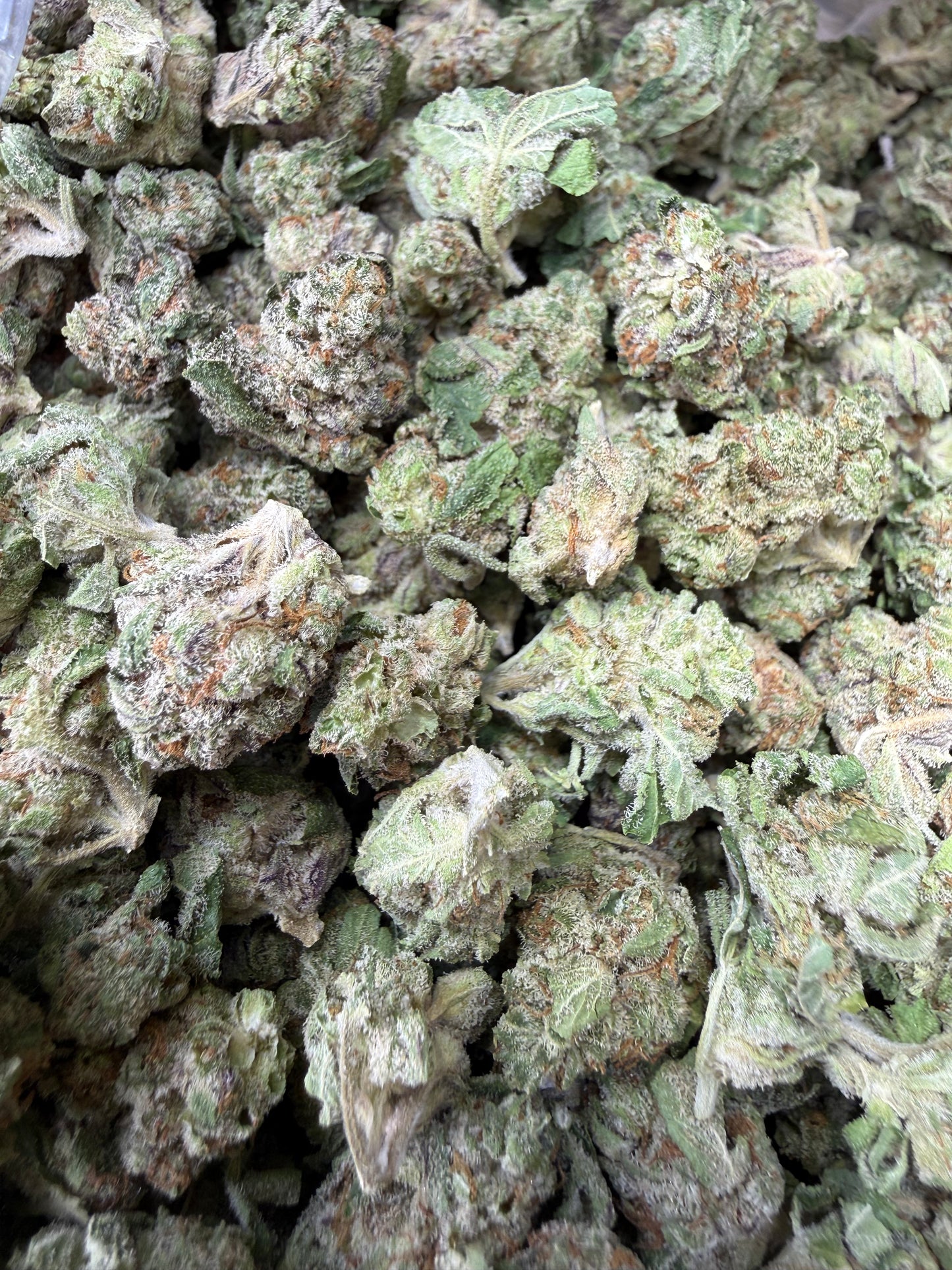 1 Pound - Why U Gelly THCA Strain (Smalls) Frisco Labs