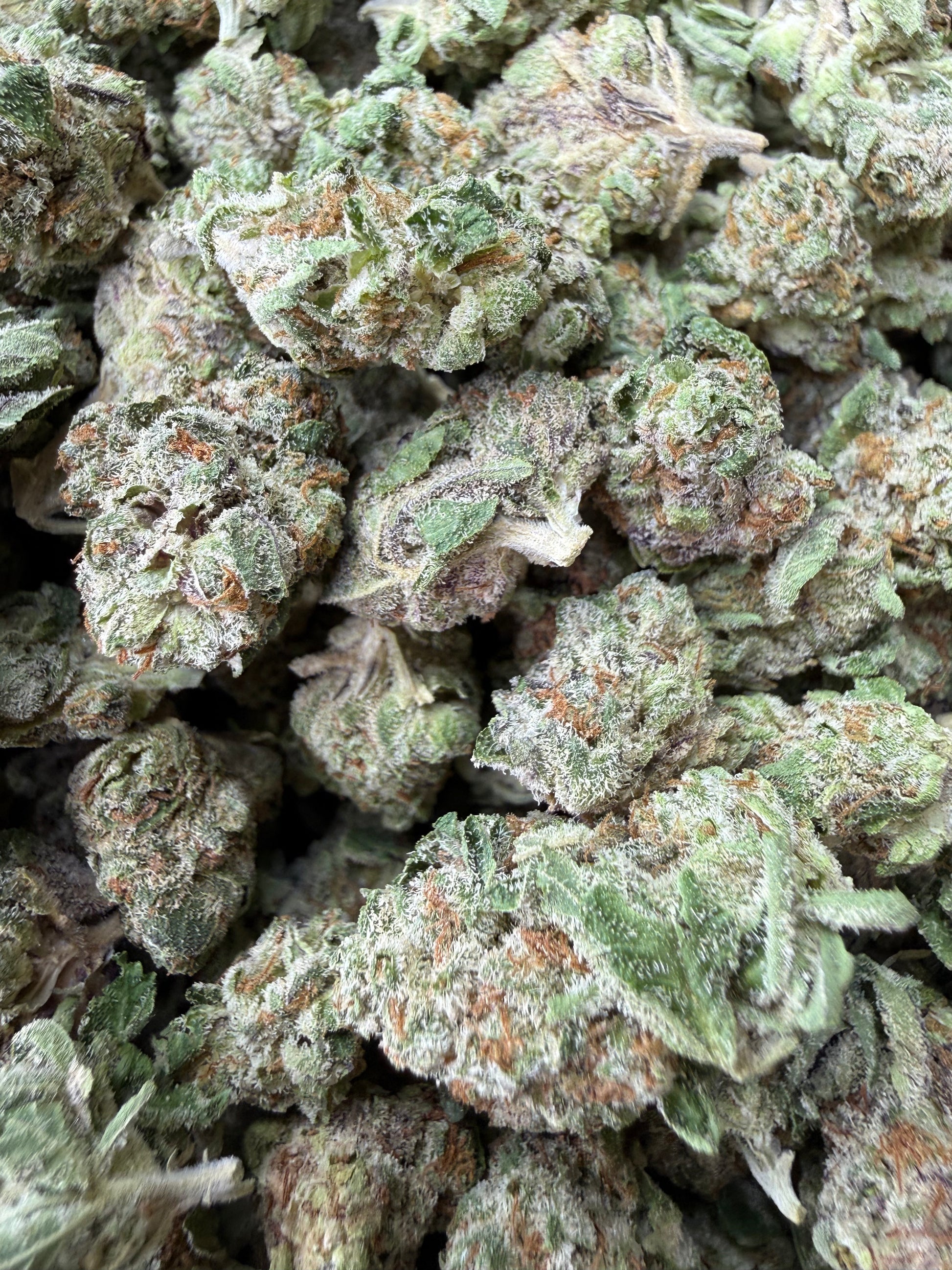 1 Pound - Why U Gelly THCA Strain (Smalls) Frisco Labs