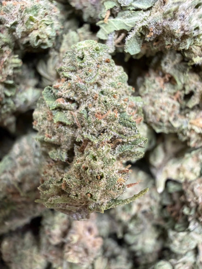 1 Pound - Wild Card THCA Strain (Small) Frisco Labs