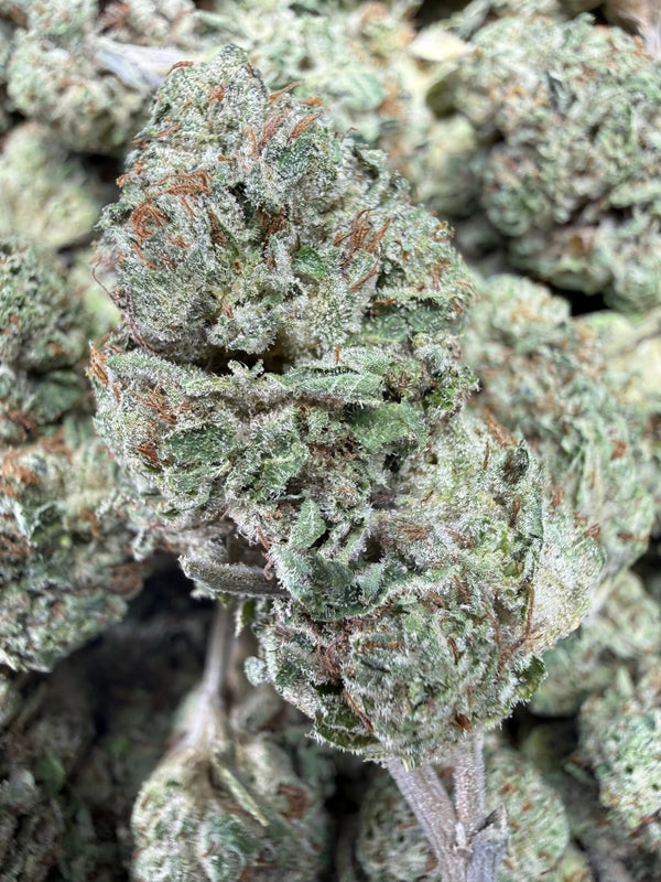1 Pound - Yeet THCA Flower