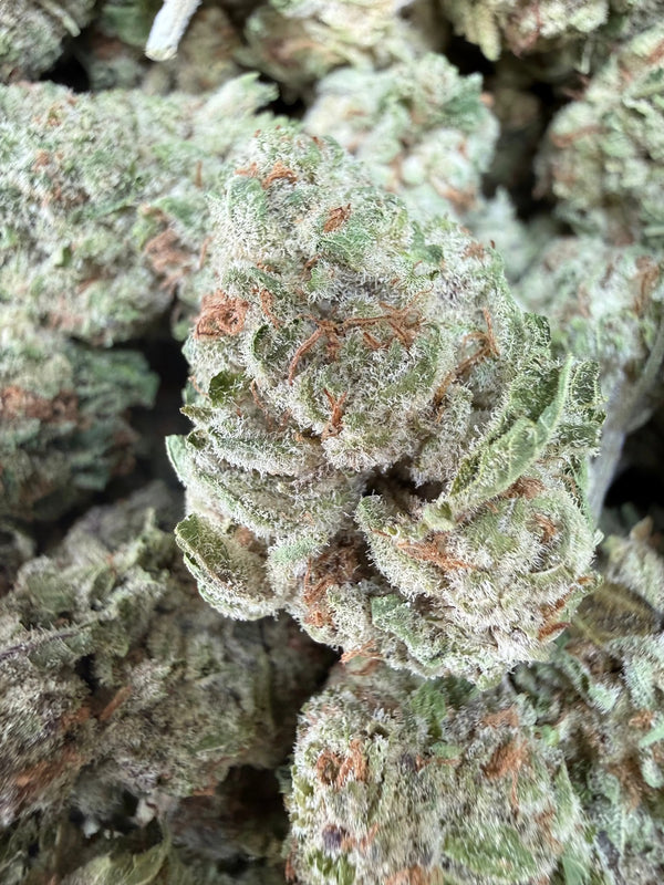 1 Pound - Zurple Lulu THCA Flower