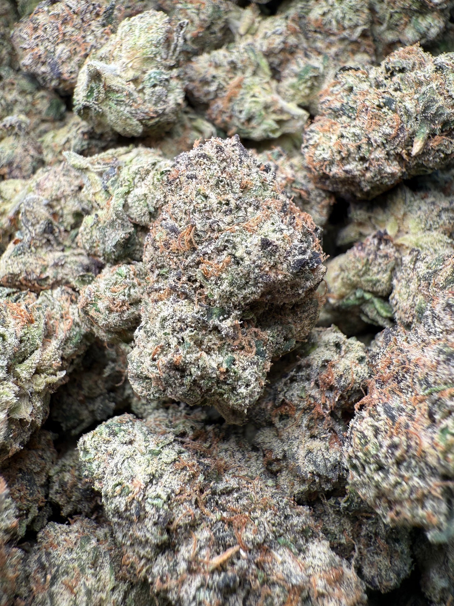 1 Pound – AAA Blue Nerds | Exotic Indoor THCA Flower | 28%+ THCA FL Fulfillment Center