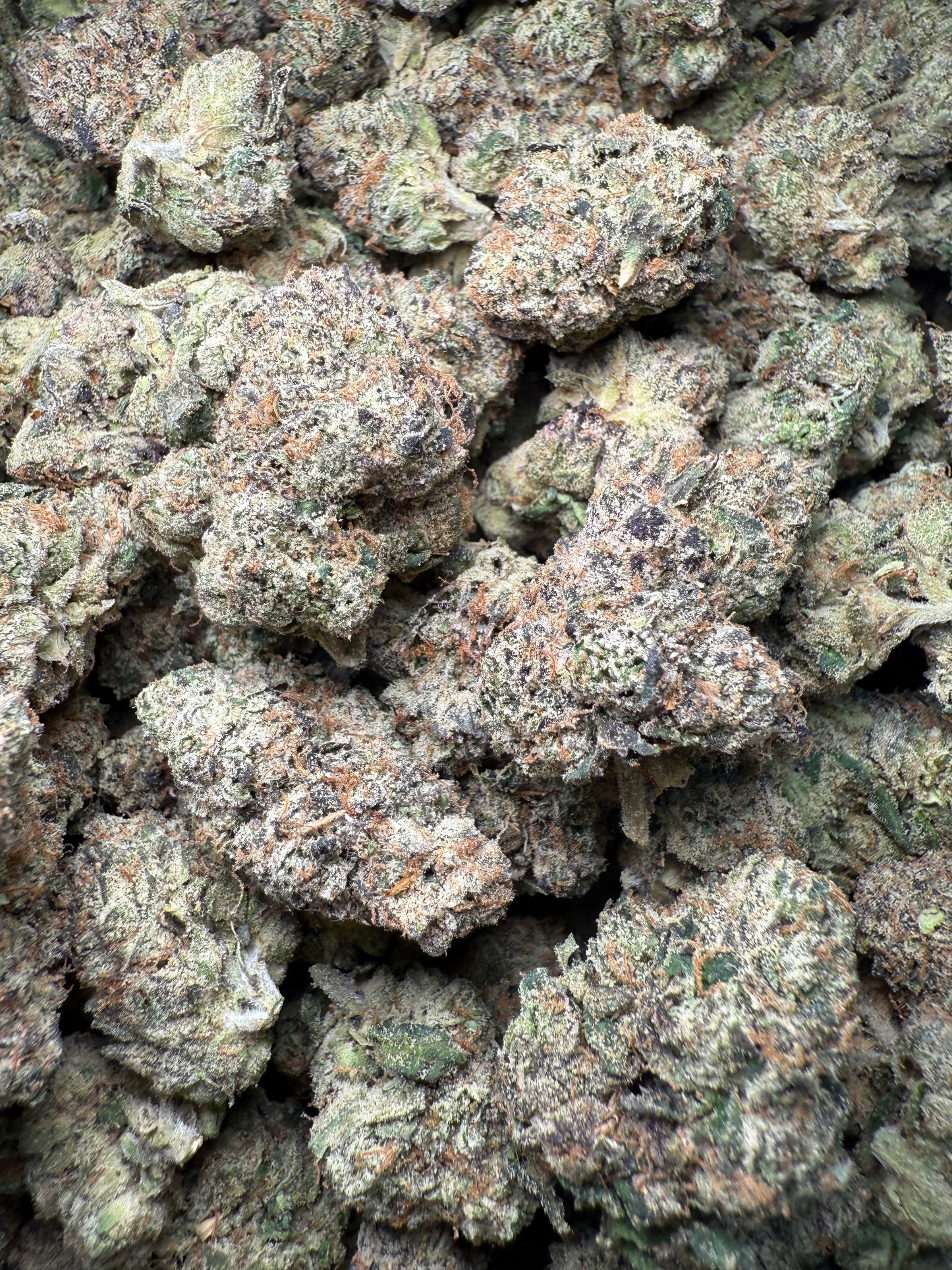 1 Pound – AAA Blue Nerds | Exotic Indoor THCA Flower | 28%+ THCA FL Fulfillment Center