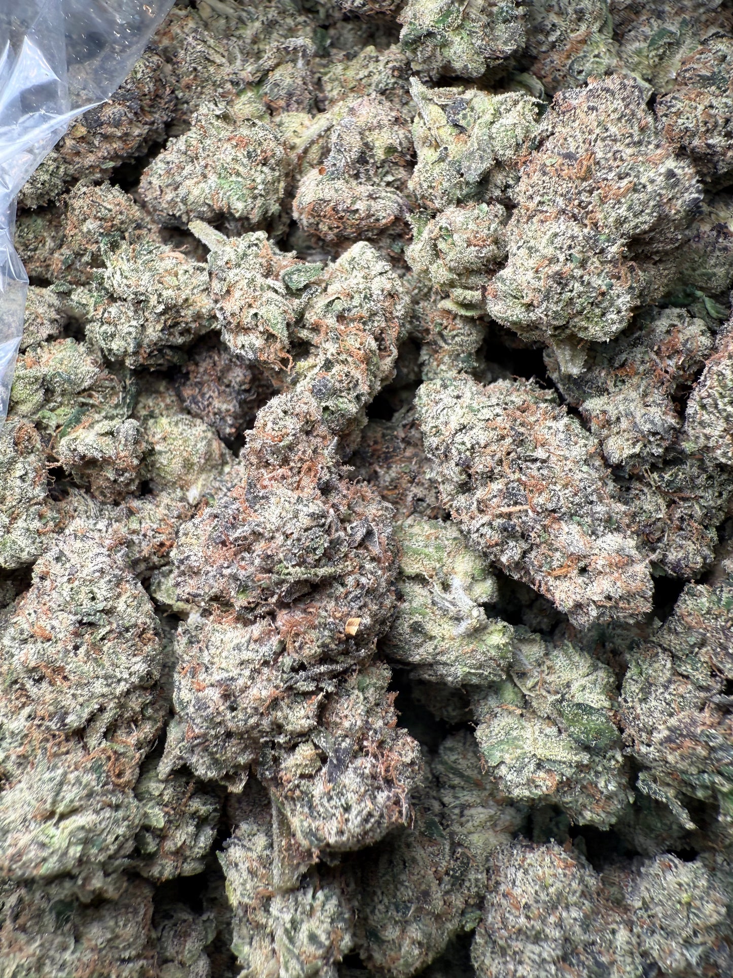 1 Pound – AAA Blue Nerds | Exotic Indoor THCA Flower | 28%+ THCA FL Fulfillment Center