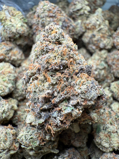 1 Pound – AAA Gas House Runtz | Exotic Indoor THCA Flower | 28%+ THCA FL Fulfillment Center