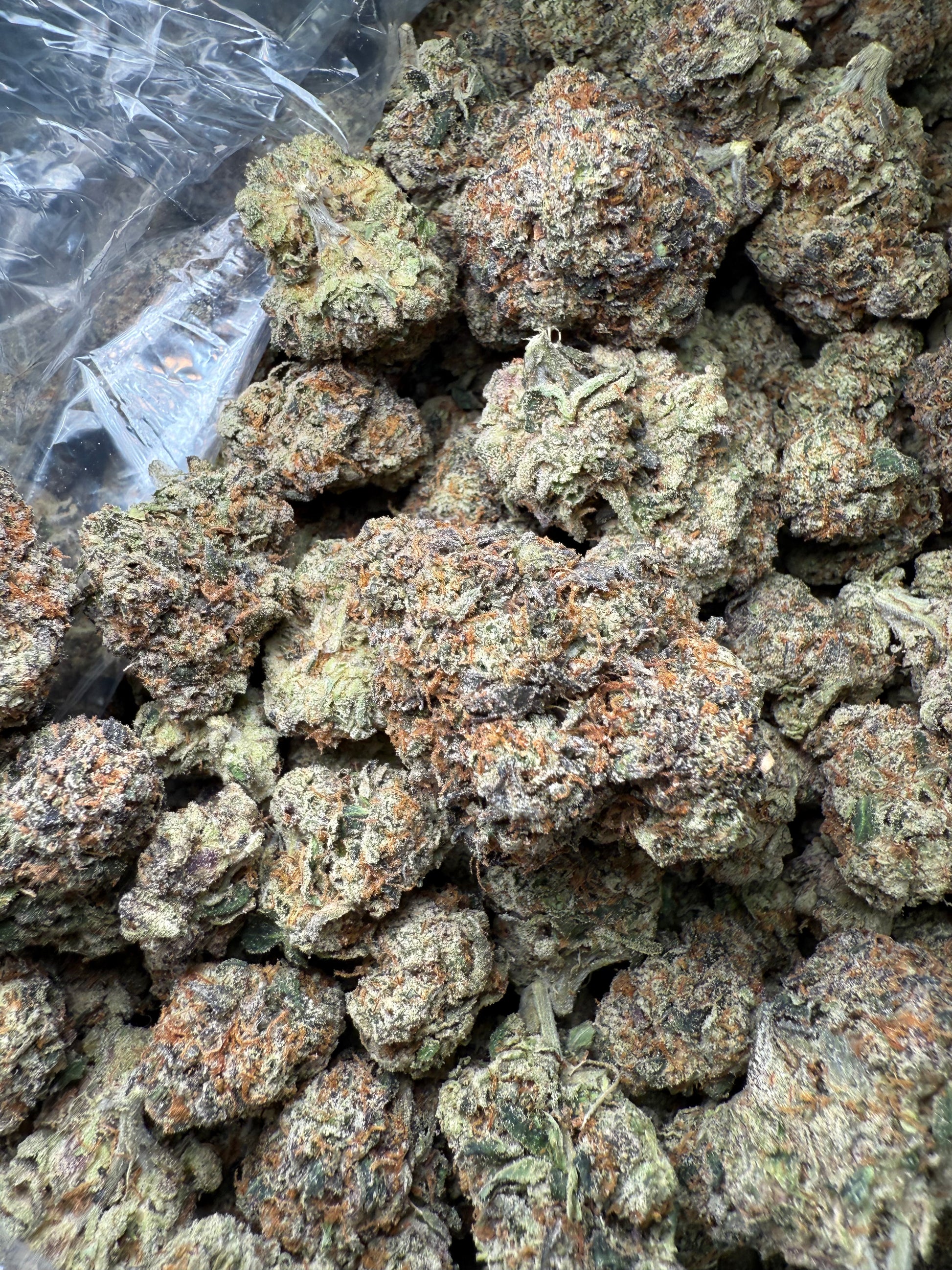 1 Pound – AAA Gas House Runtz | Exotic Indoor THCA Flower | 28%+ THCA FL Fulfillment Center