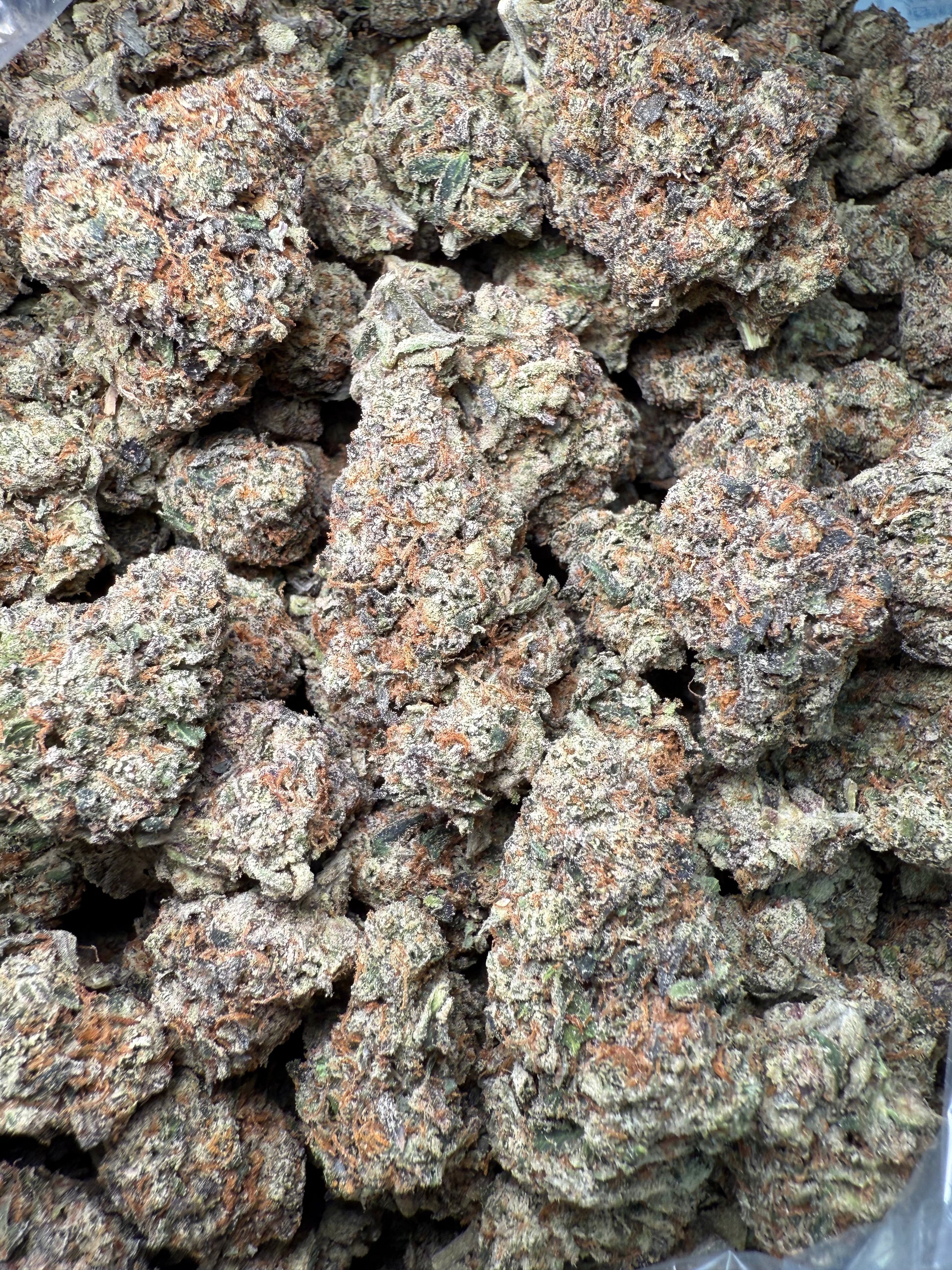 1 Pound – AAA Gas House Runtz | Exotic Indoor THCA Flower | 28%+ THCA FL Fulfillment Center