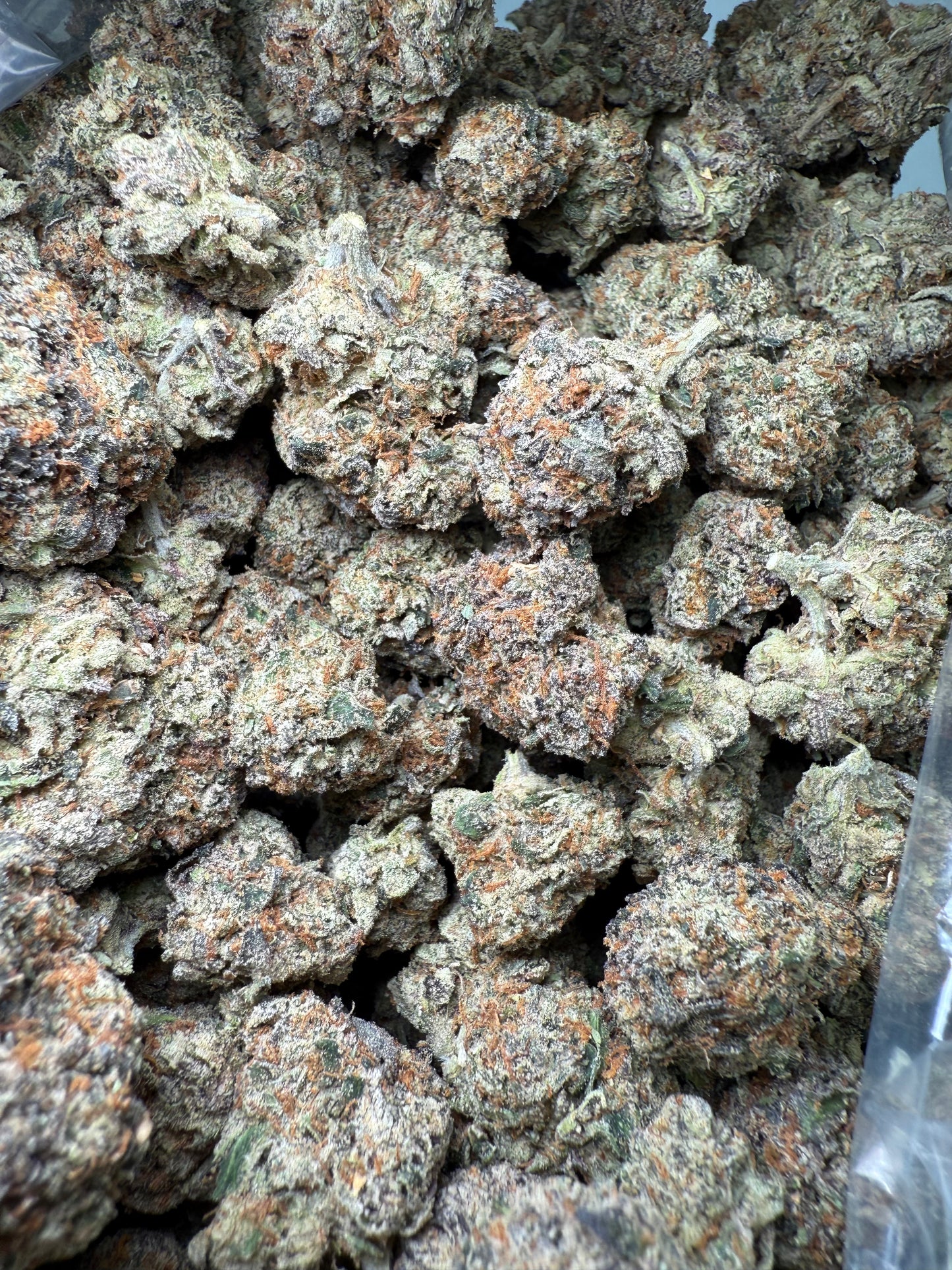 1 Pound – AAA Gas House Runtz | Exotic Indoor THCA Flower | 28%+ THCA FL Fulfillment Center