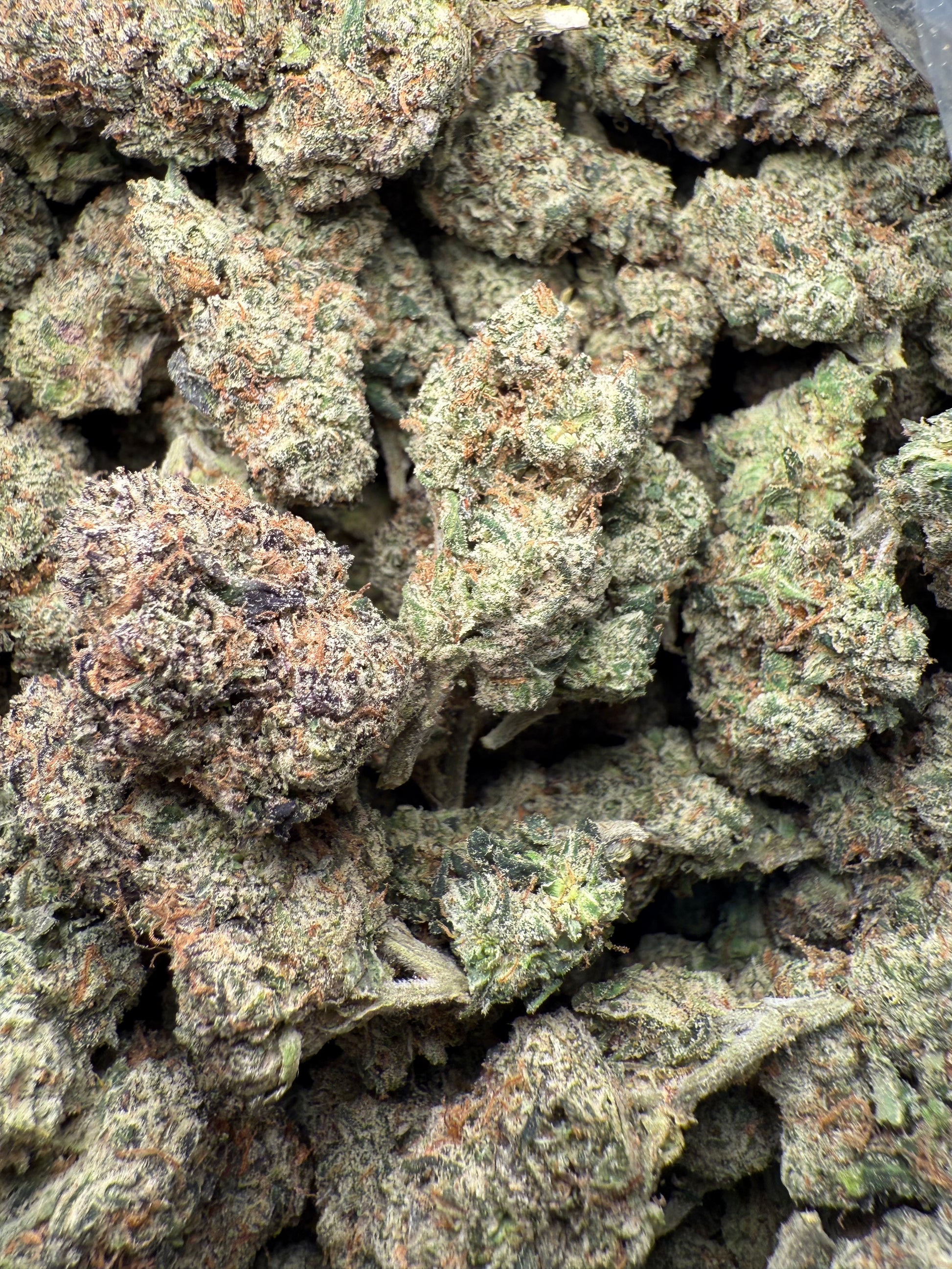 1 Pound – AAA Gelato Bird #33 | Exotic Indoor THCA Flower | 28%+ THCA FL Fulfillment Center