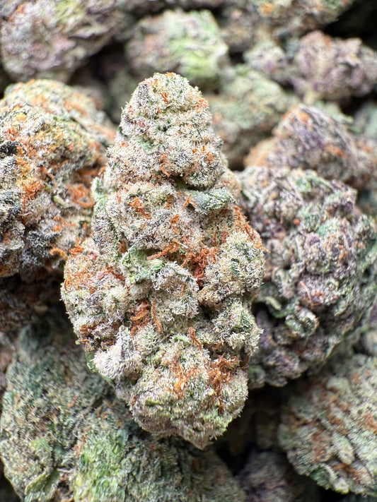 1 Pound – AAA Smakers Runtz | Indoor Exotic THCA Flower | 27%+ THCA | Candy Gas FL Fulfillment Center