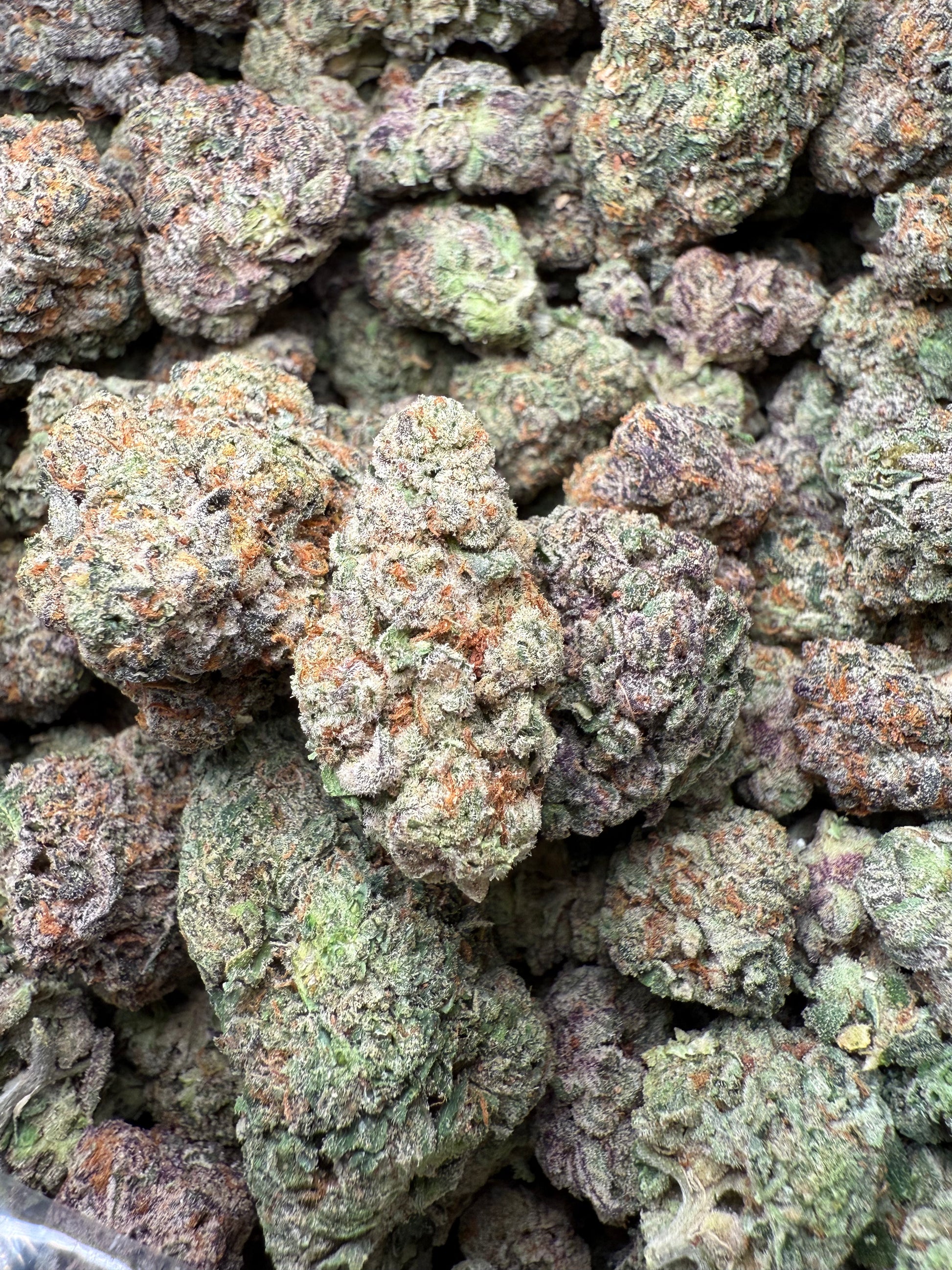 1 Pound – AAA Smakers Runtz | Indoor Exotic THCA Flower | 27%+ THCA | Candy Gas FL Fulfillment Center