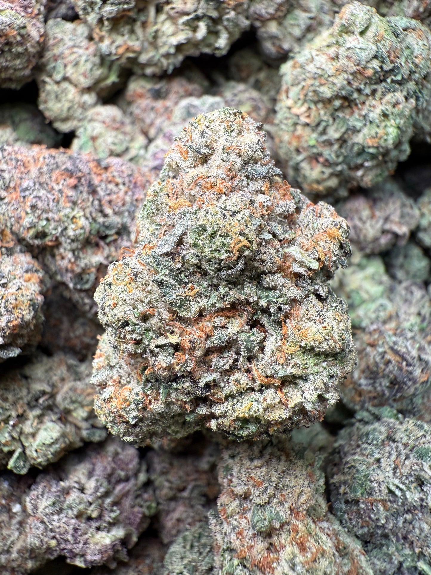 1 Pound – AAA Smakers Runtz | Indoor Exotic THCA Flower | 27%+ THCA | Candy Gas FL Fulfillment Center