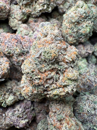 1 Pound – AAA Smakers Runtz | Indoor Exotic THCA Flower | 27%+ THCA | Candy Gas FL Fulfillment Center