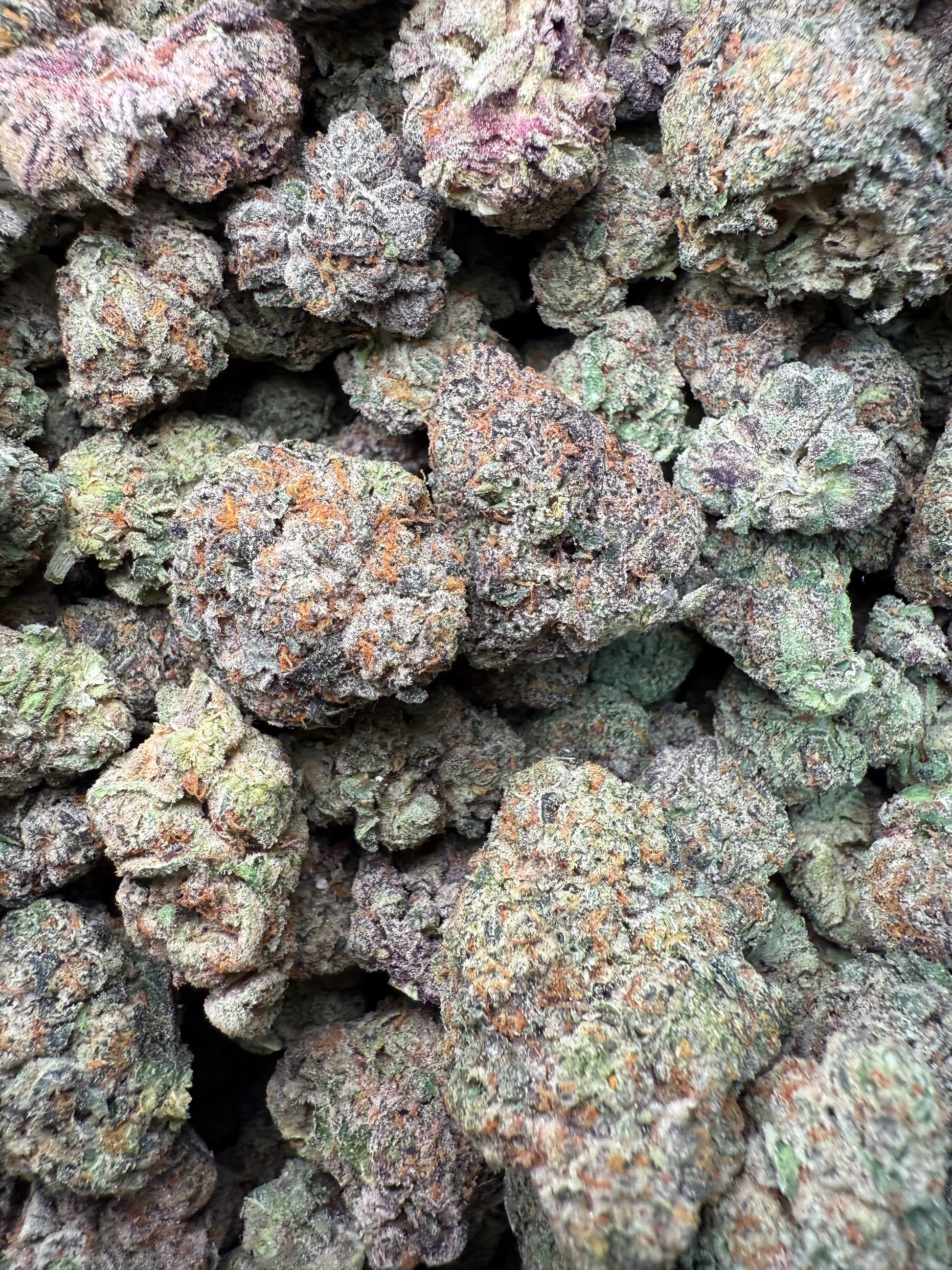 1 Pound – AAA Smakers Runtz | Indoor Exotic THCA Flower | 27%+ THCA | Candy Gas FL Fulfillment Center