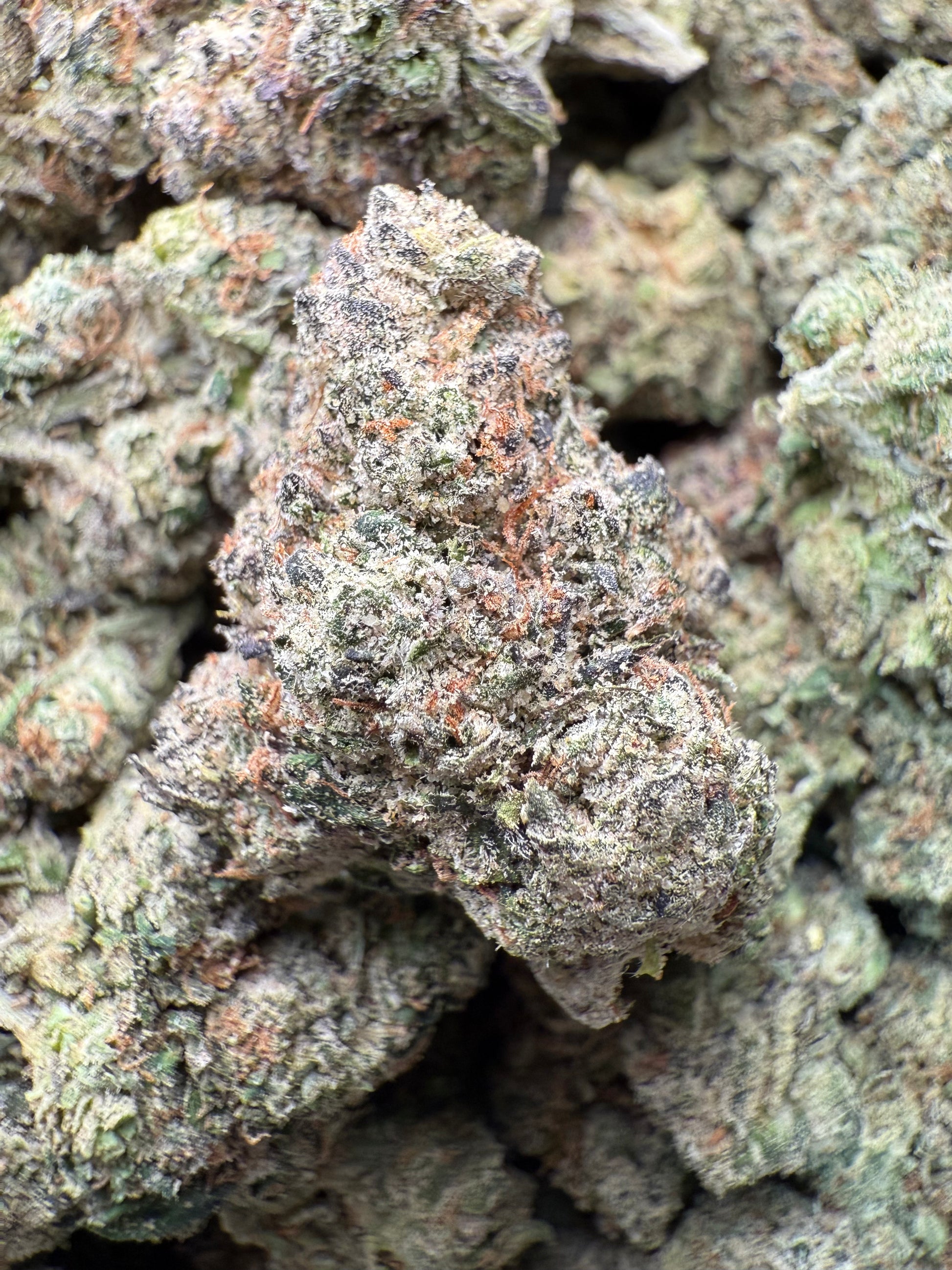 1 Pound – AAA Smarties | Indoor Exotic THCA Flower | 28%+ THCA | Candy Gas FL Fulfillment Center