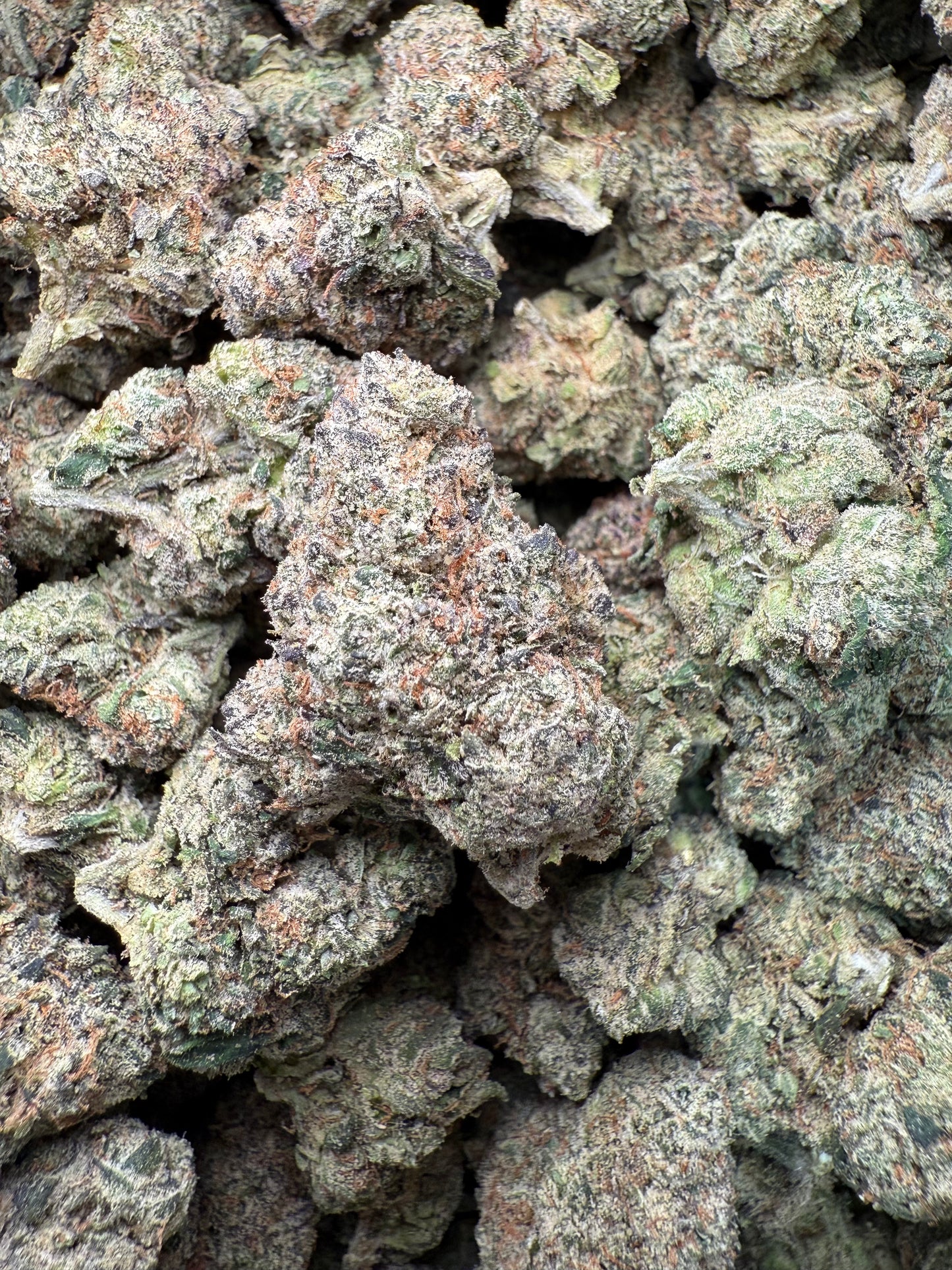 1 Pound – AAA Smarties | Indoor Exotic THCA Flower | 28%+ THCA | Candy Gas FL Fulfillment Center