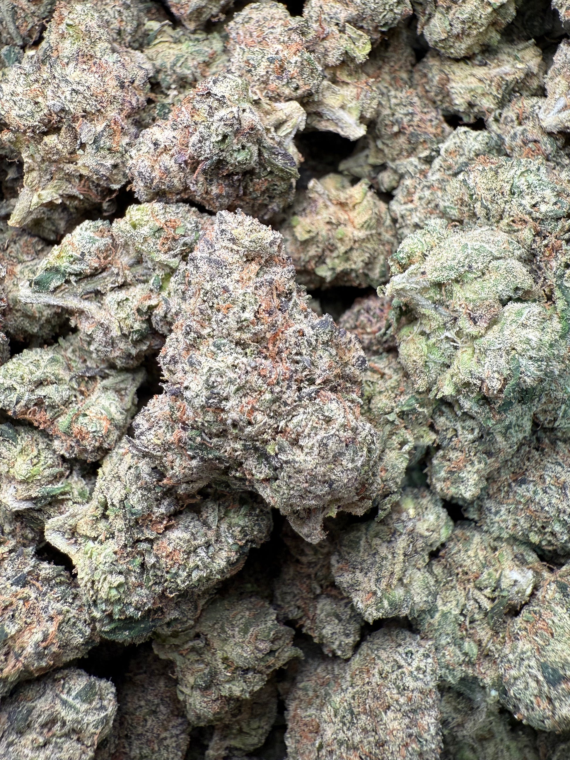 1 Pound – AAA Smarties | Indoor Exotic THCA Flower | 28%+ THCA | Candy Gas FL Fulfillment Center