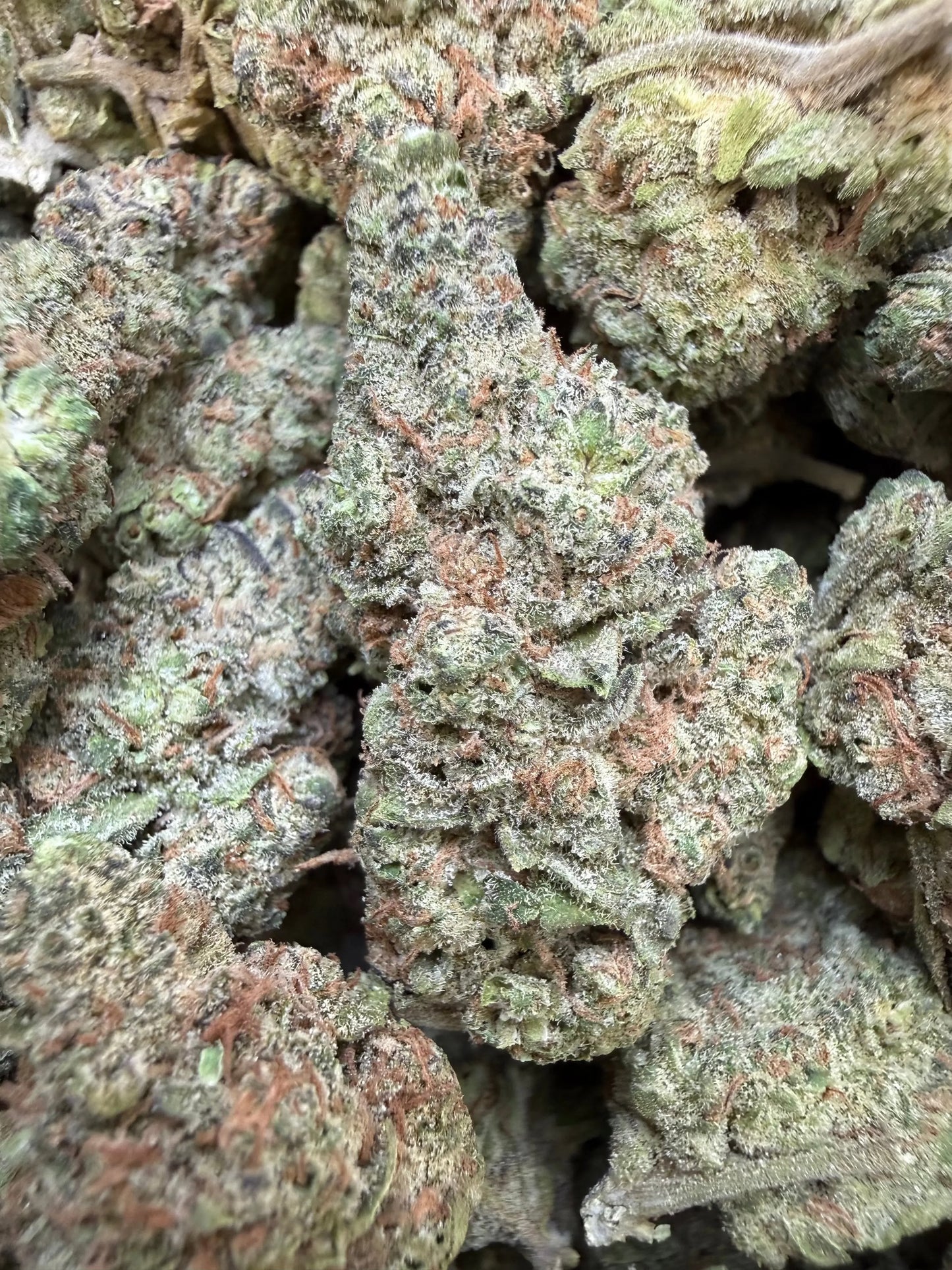 1 Pound – Smackers | Indoor Exotic THCA Flower | Candy Gas THCA FL Fulfillment Center