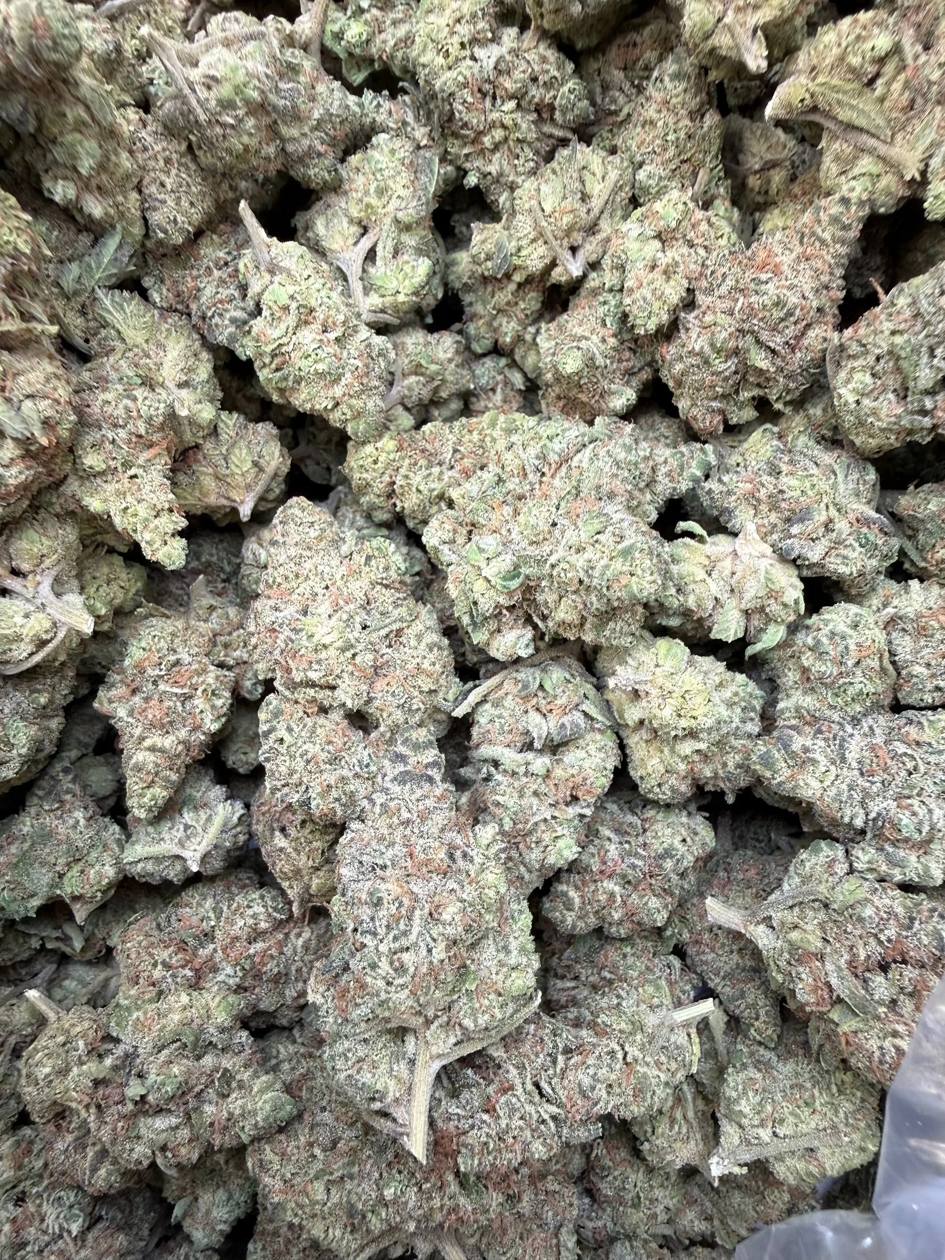 1 Pound – Smackers | Indoor Exotic THCA Flower | Candy Gas THCA FL Fulfillment Center