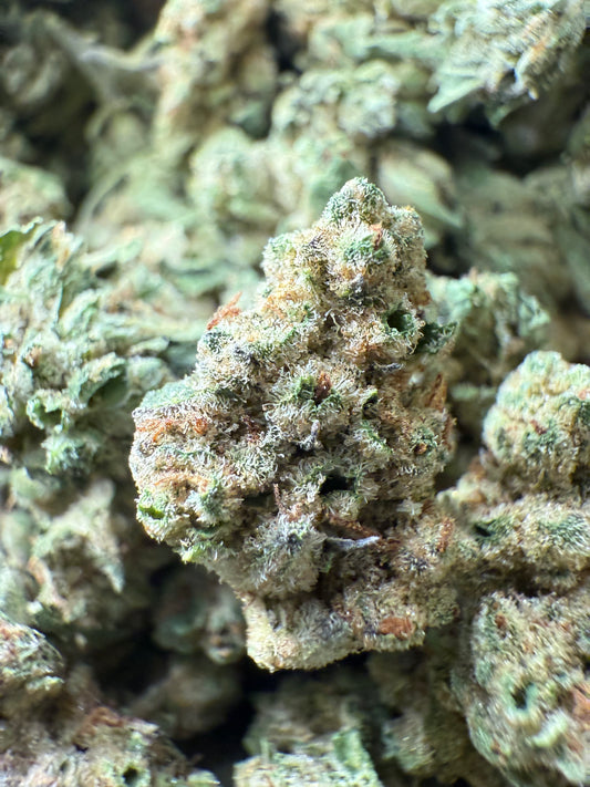 1 Pound of Alien OG THCA (Smalls) FL Fulfillment Center