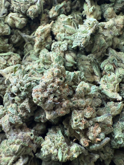 1 Pound of Alien OG THCA (Smalls) FL Fulfillment Center