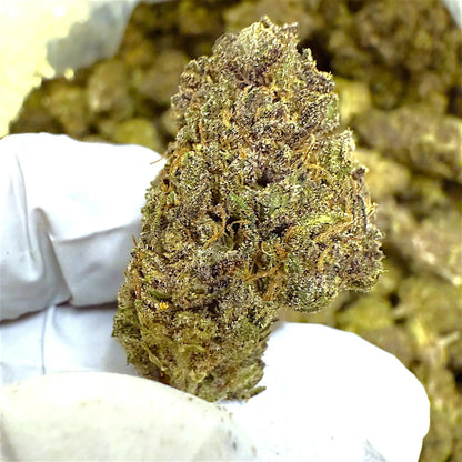 1 Pound of Catholic School Girl THCA FL Fulfillment Center