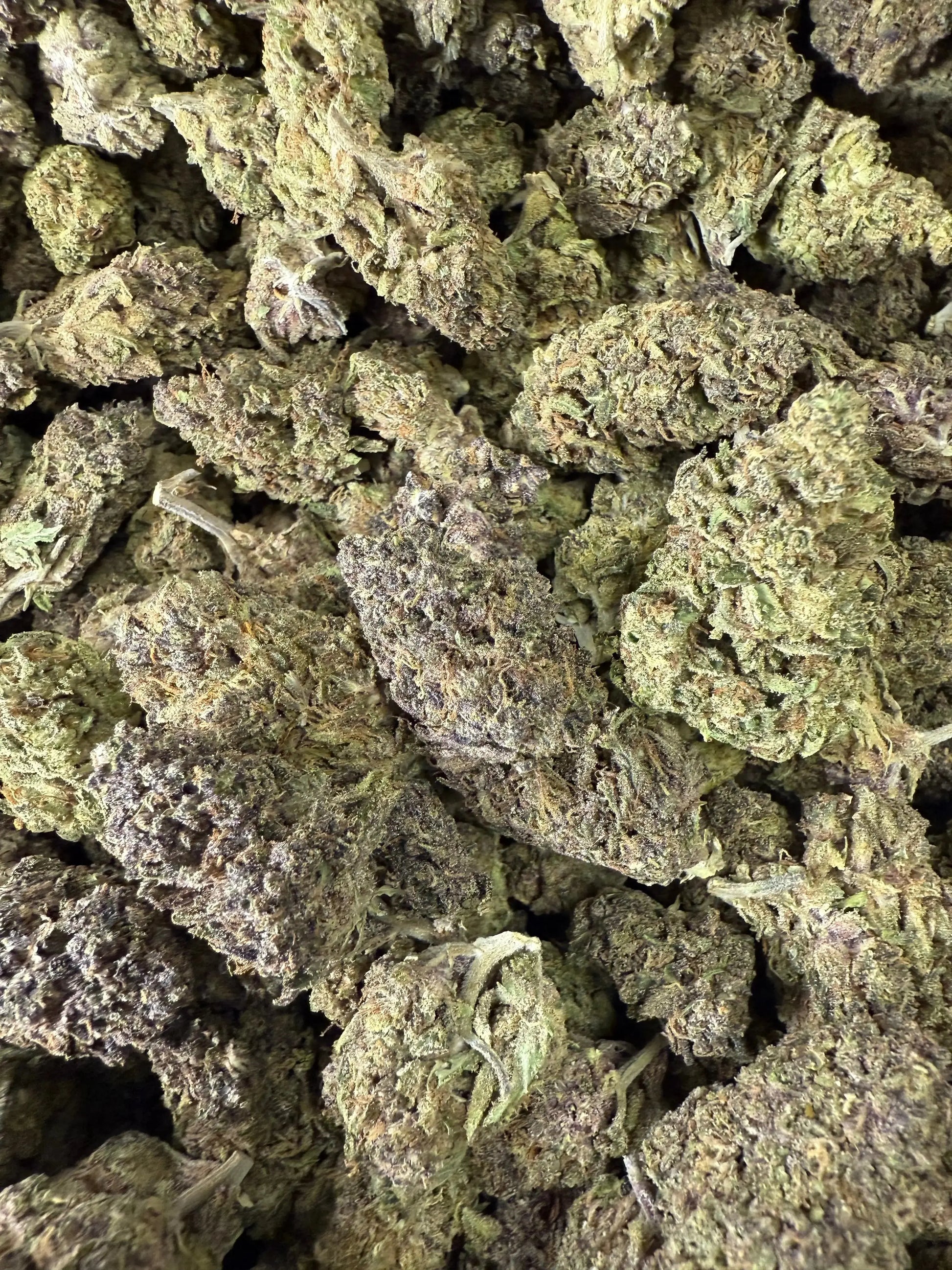 1 Pound of Catholic School Girl THCA FL Fulfillment Center