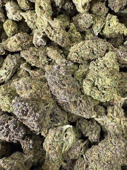 1 Pound of Catholic School Girl THCA FL Fulfillment Center