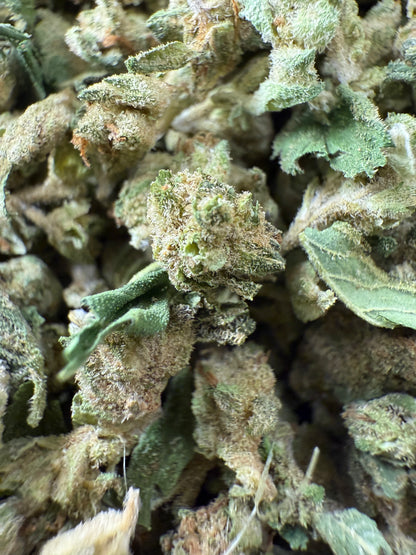 1 Pound of Cheetah Cake THCA (Mini)(Some Stem & Leaf) FL Fulfillment Center