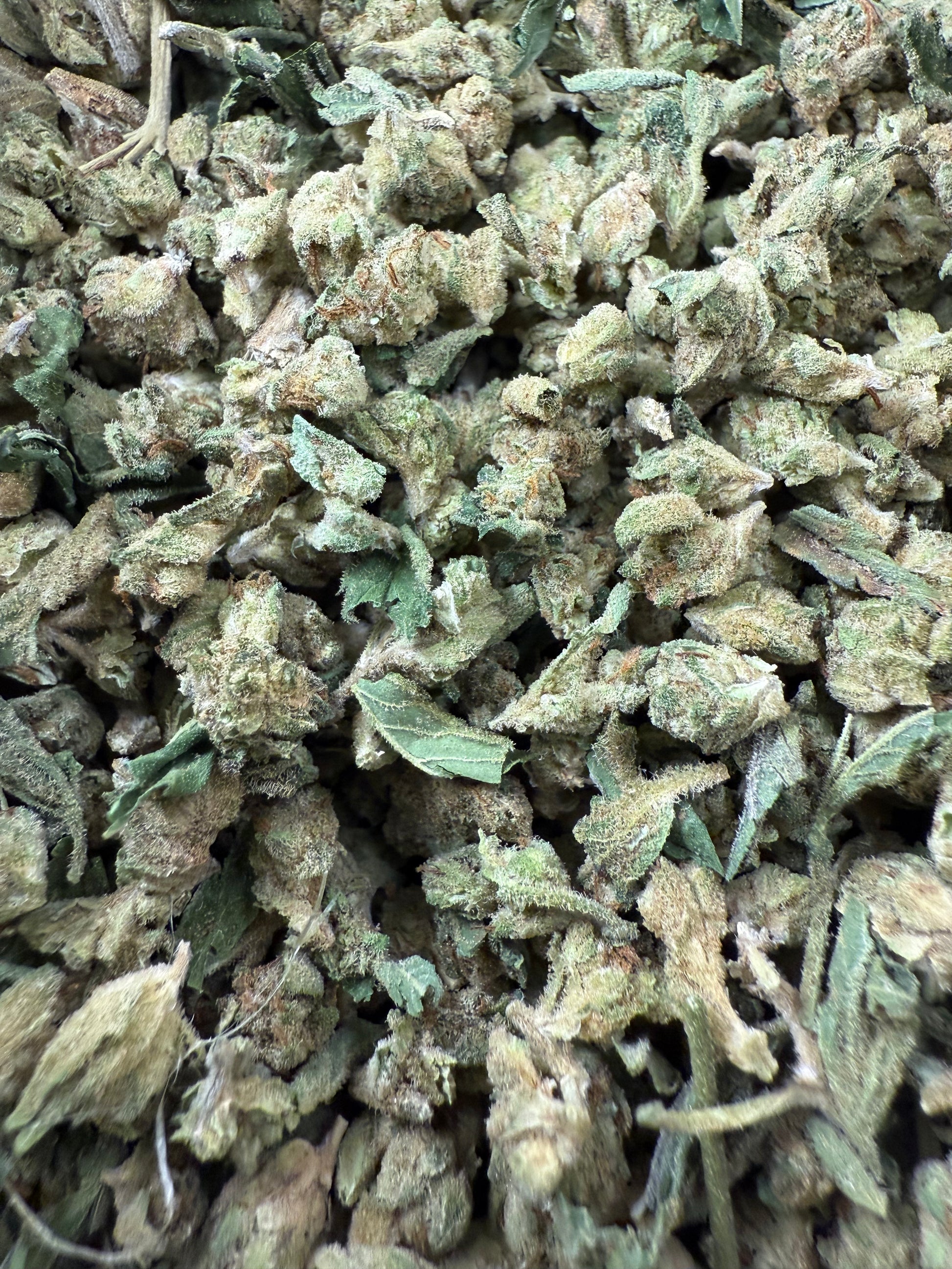 1 Pound of Cheetah Cake THCA (Mini)(Some Stem & Leaf) FL Fulfillment Center