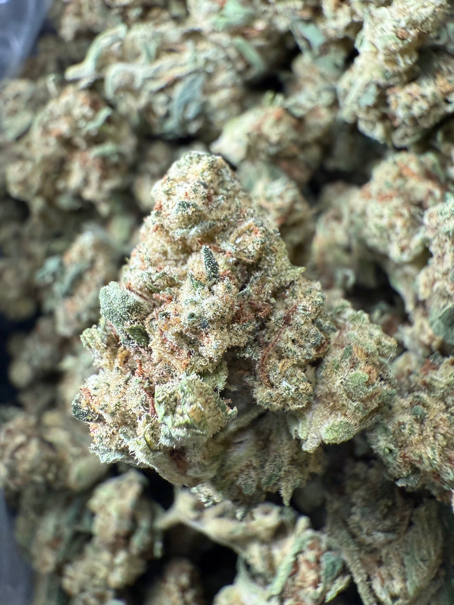 1 Pound of Electric Lemon G THCA (Smalls) FL Fulfillment Center