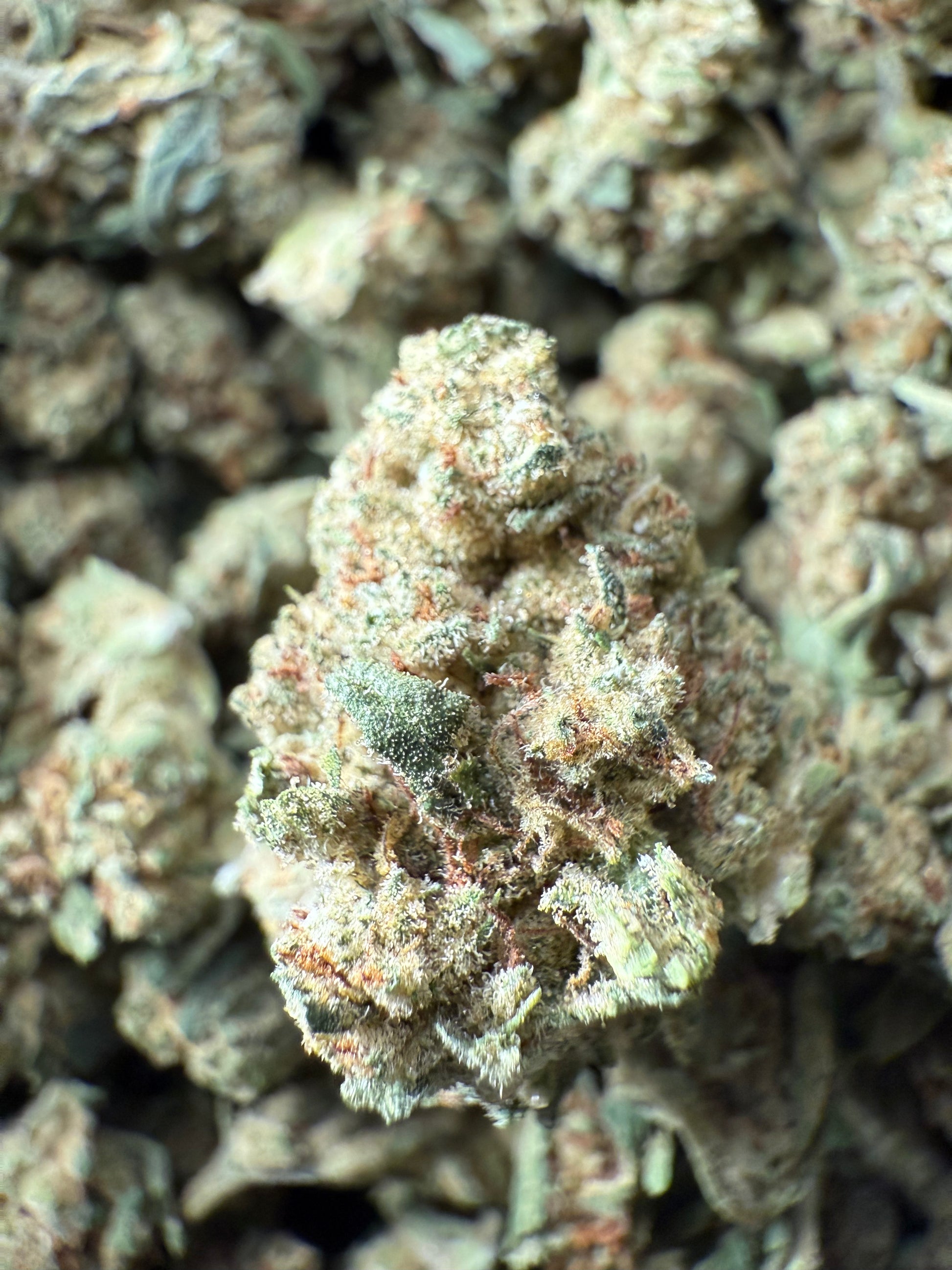 1 Pound of Electric Lemon G THCA (Smalls) FL Fulfillment Center