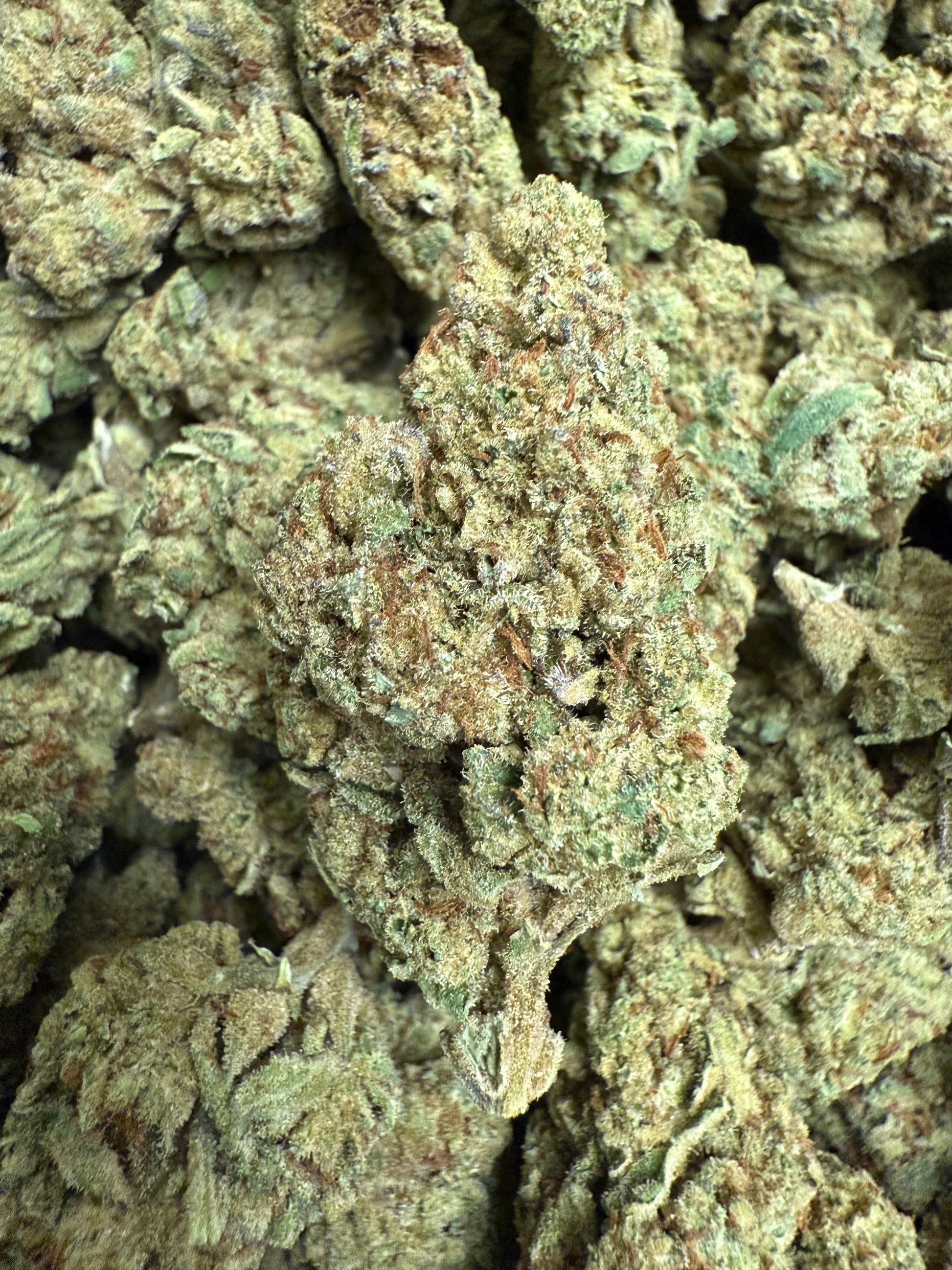 1 Pound of Frosted Donut THCA FL Fulfillment Center