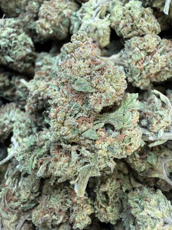 1 Pound of Garlic Cookies THCA Flower