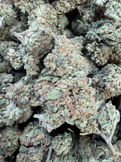1 Pound of Garlic Cookies THCA FL Fulfillment Center