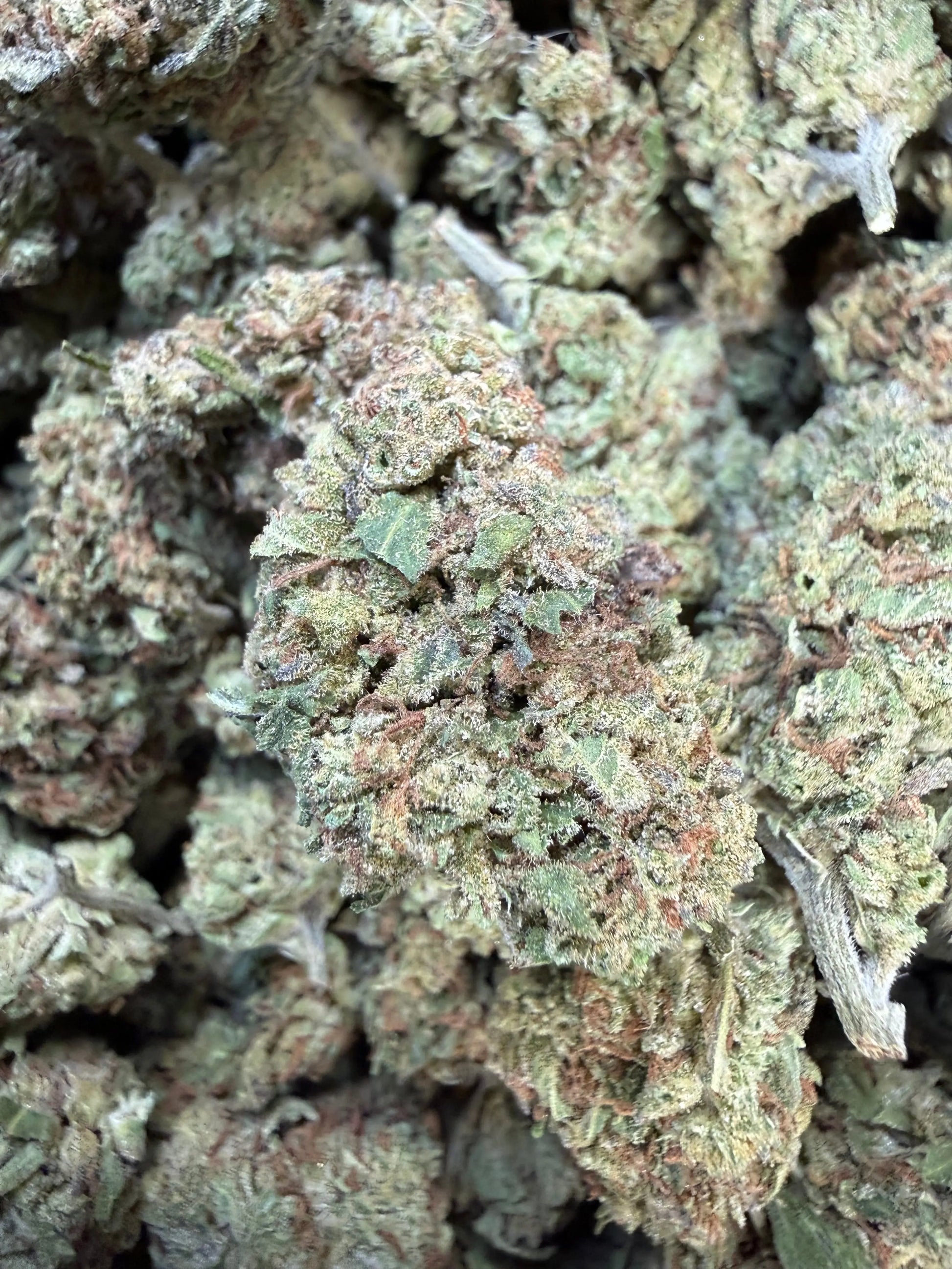 1 Pound of Garlic Cookies THCA FL Fulfillment Center