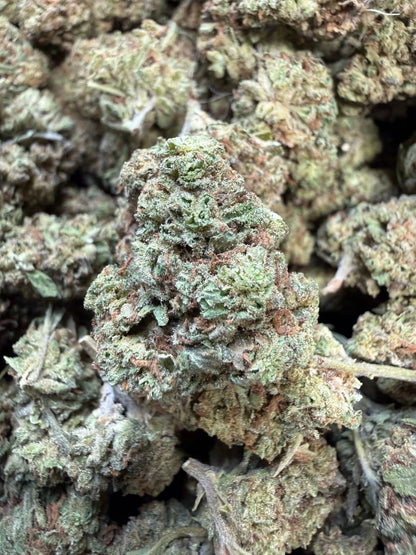 1 Pound of Garlic Cookies THCA FL Fulfillment Center