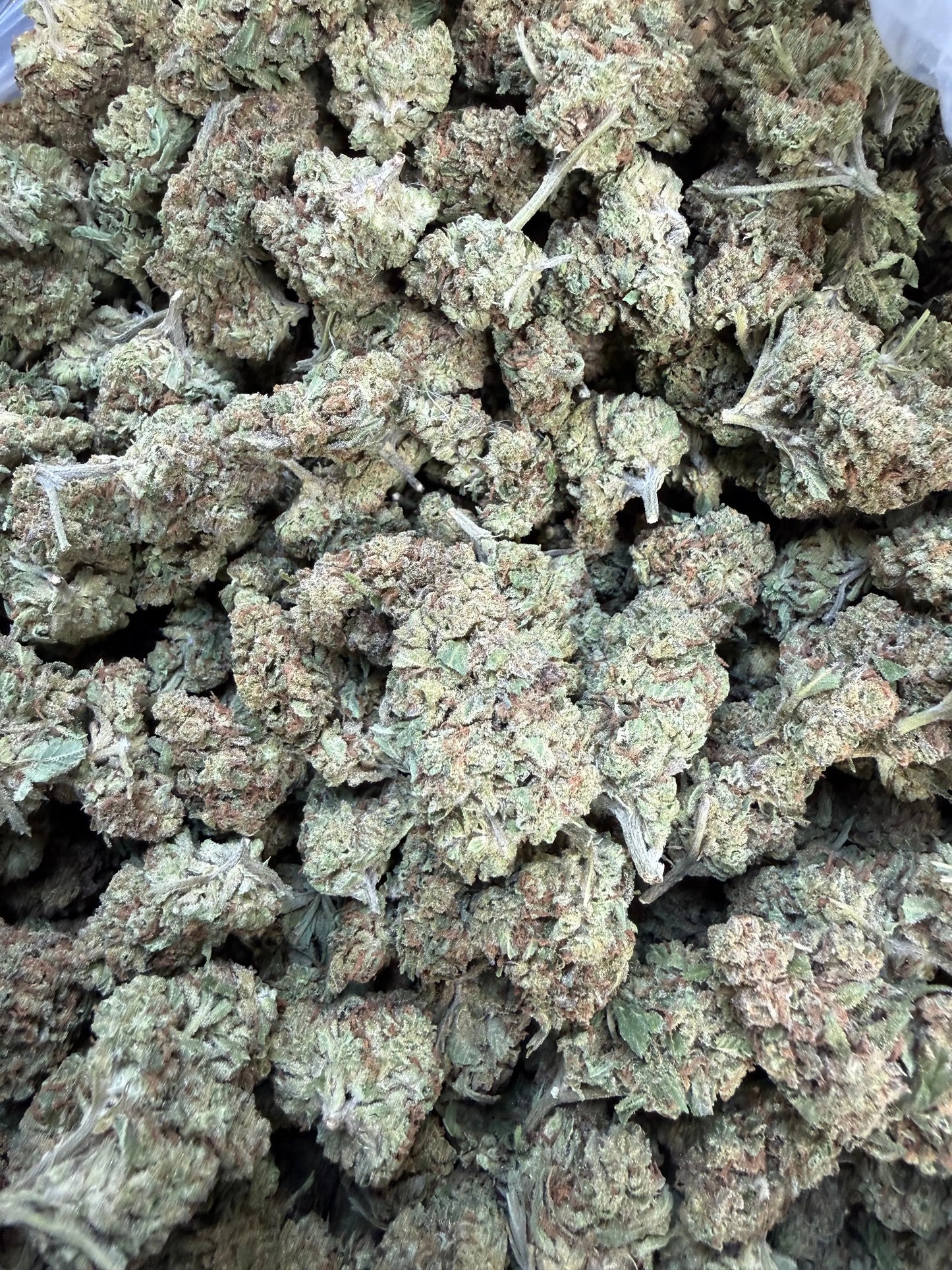 1 Pound of Garlic Cookies THCA FL Fulfillment Center