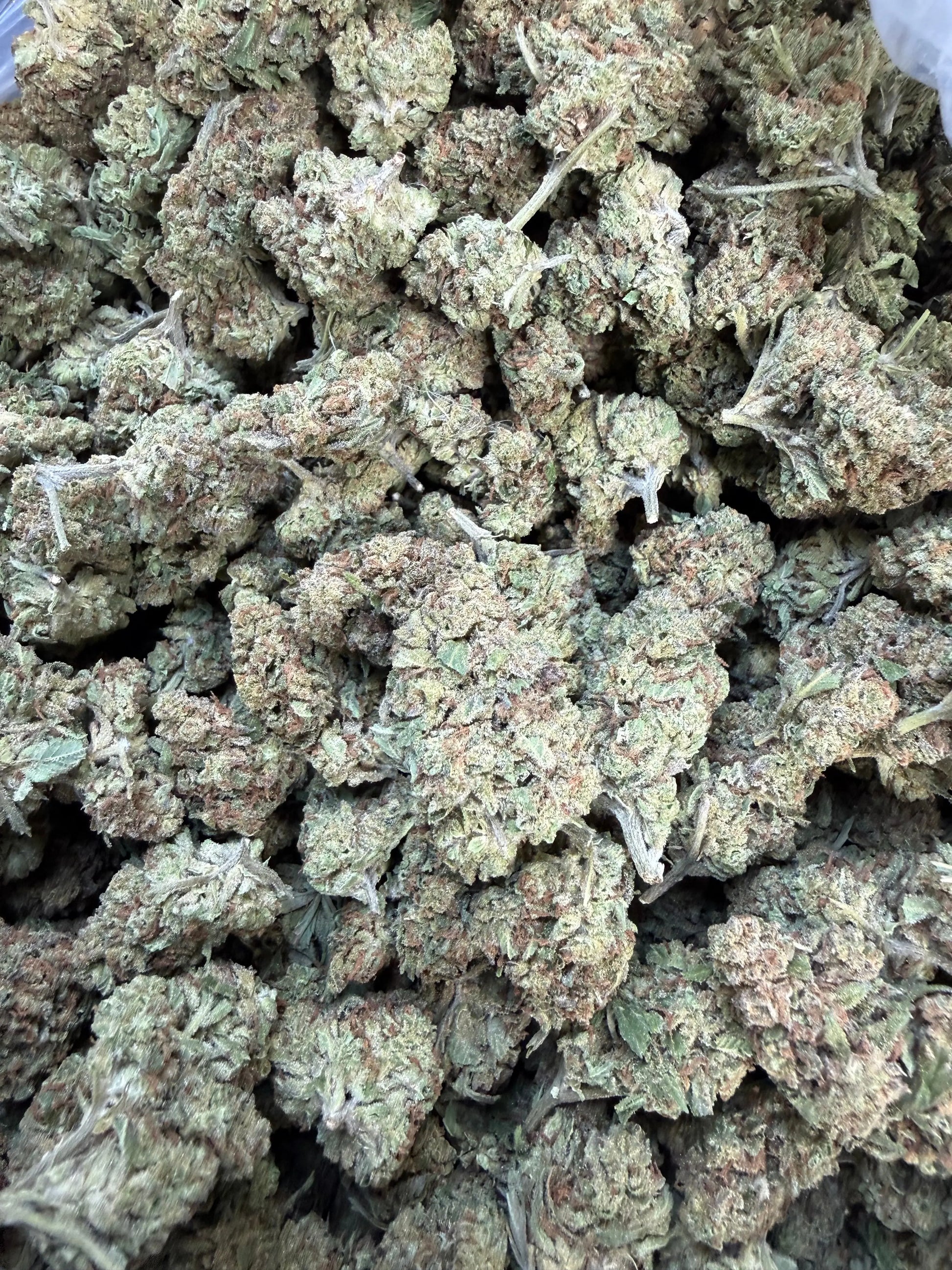 1 Pound of Garlic Cookies THCA FL Fulfillment Center