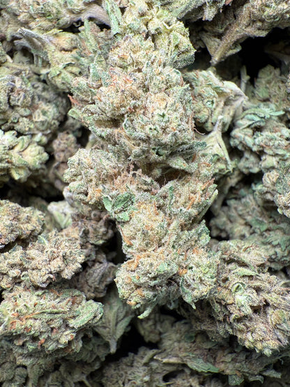 1 Pound of Gelato #41 THCA FL Fulfillment Center