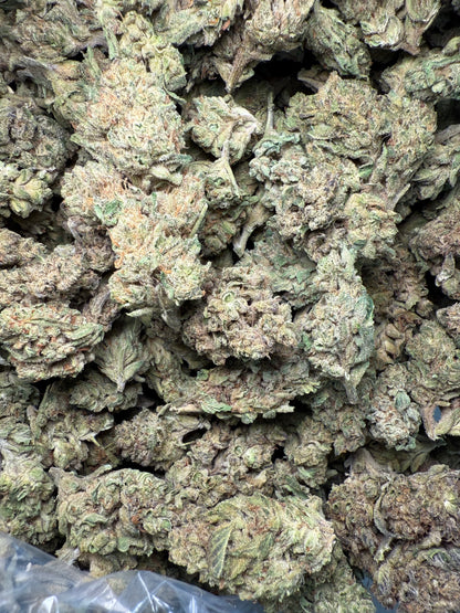 1 Pound of Gelato #41 THCA FL Fulfillment Center