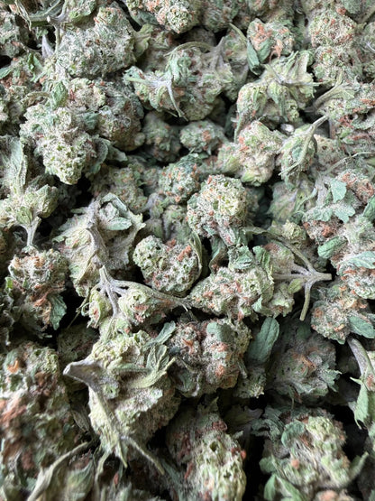 1 Pound of Grape Muffinz THCA (Smalls) FL Fulfillment Center